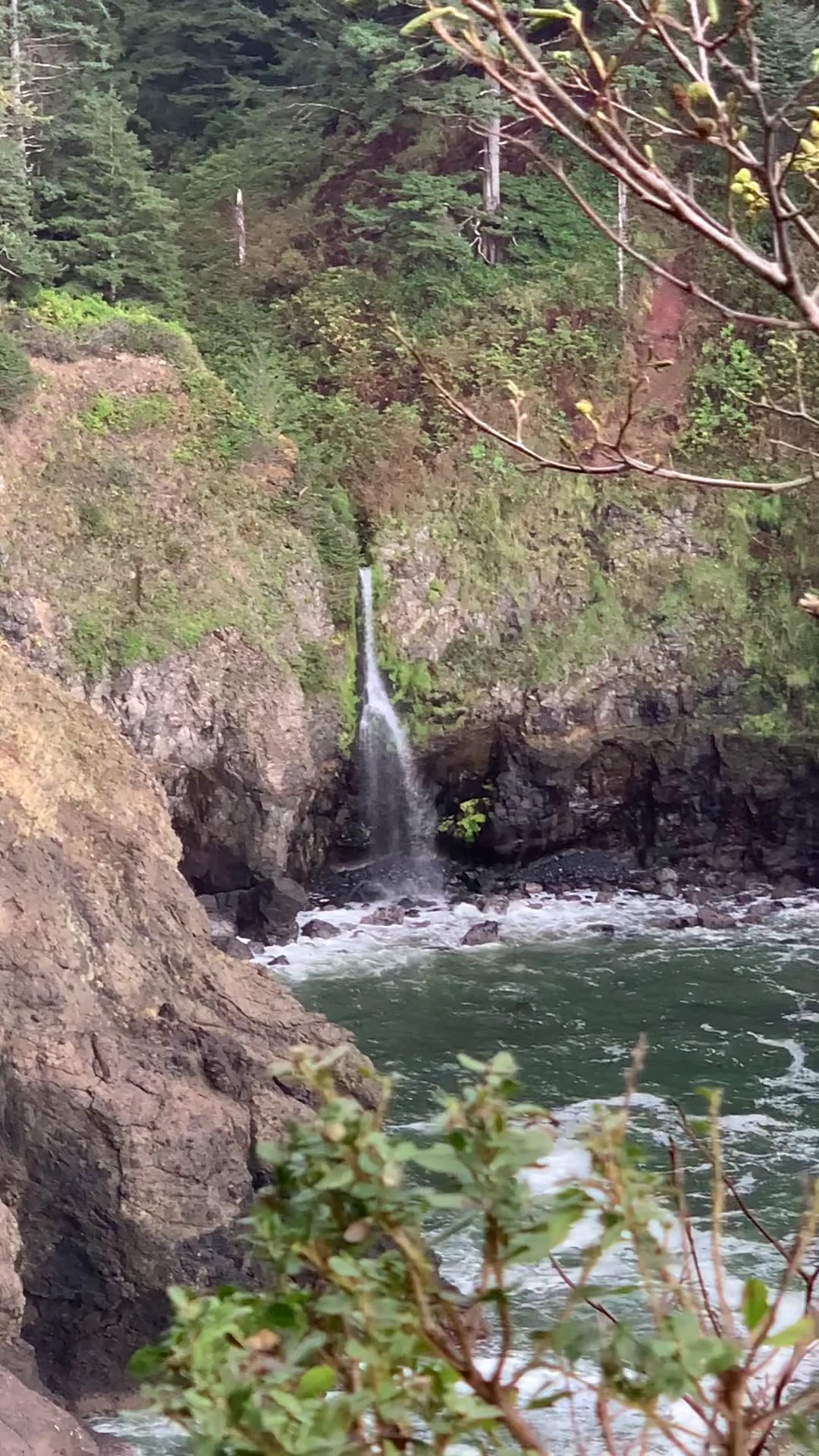 Hart's Cove Trailhead - Otis, OR