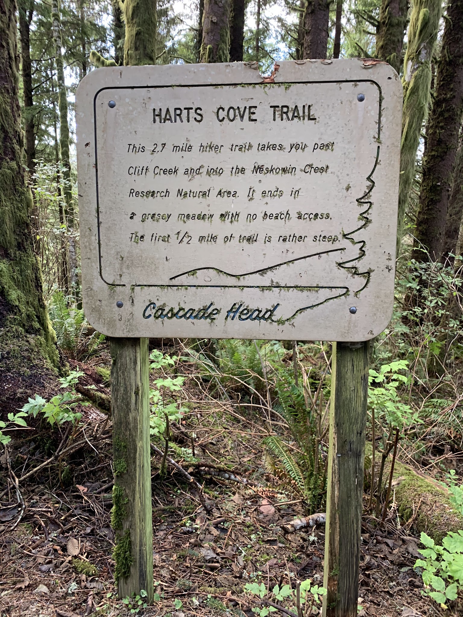 Hart's Cove Trailhead - Otis, OR