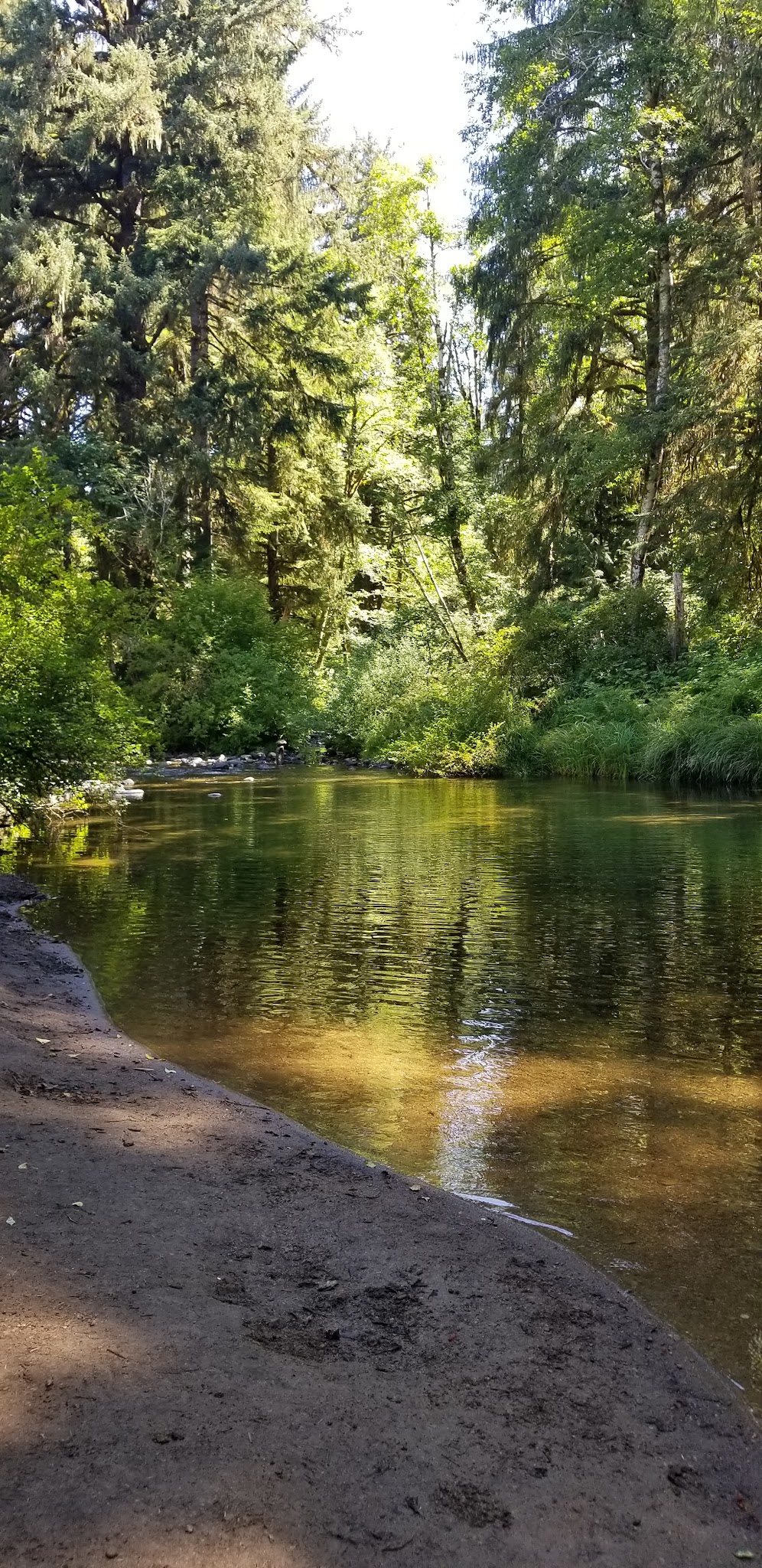 Van Duzer Park - Otis, OR