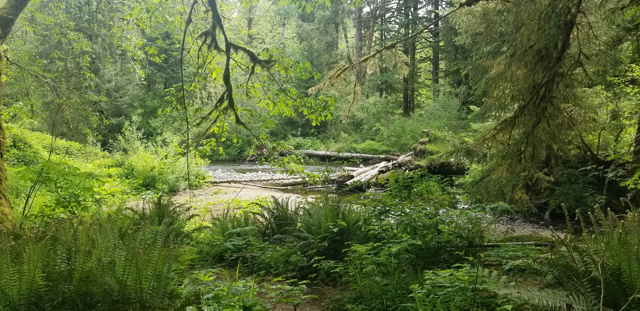 Van Duzer Park - Otis, OR