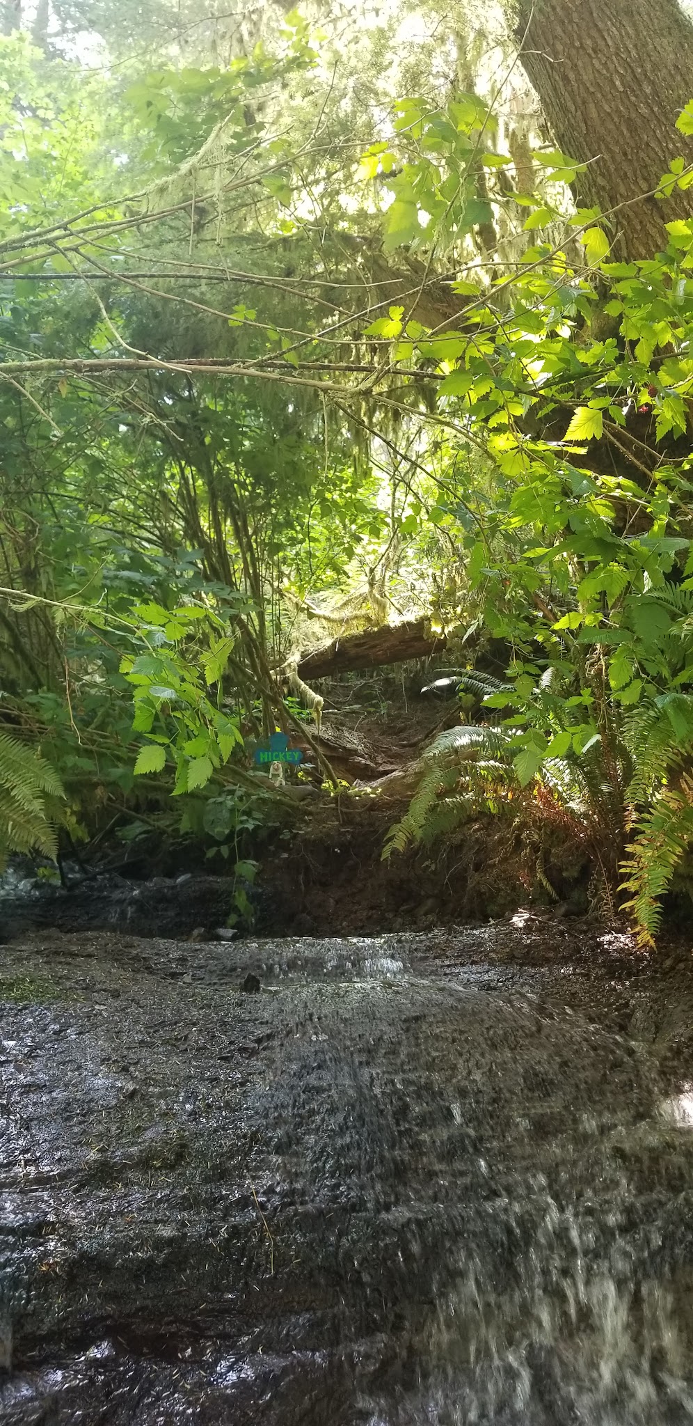 Van Duzer Park - Otis, OR