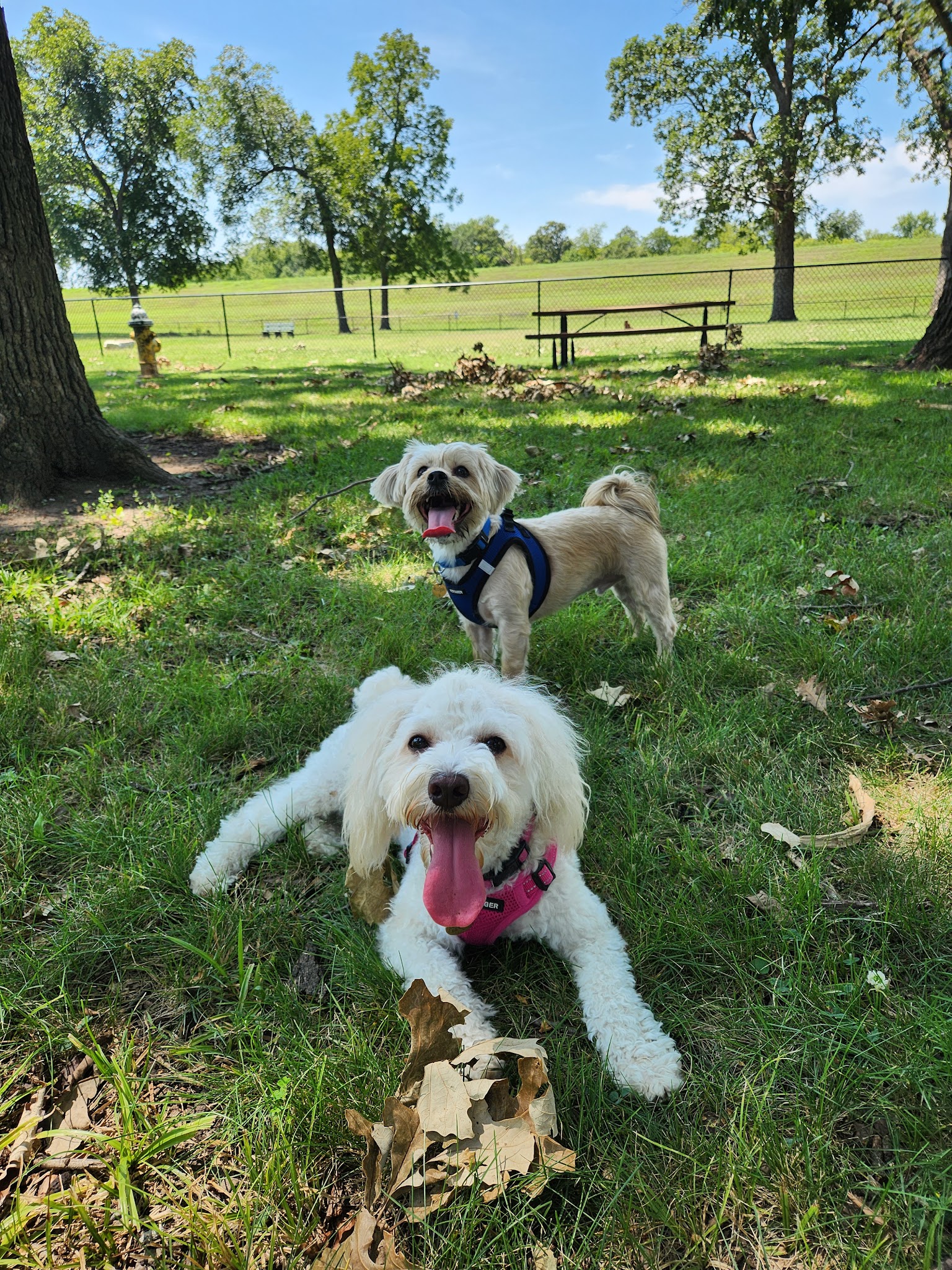Bark Park - Ottawa, KS