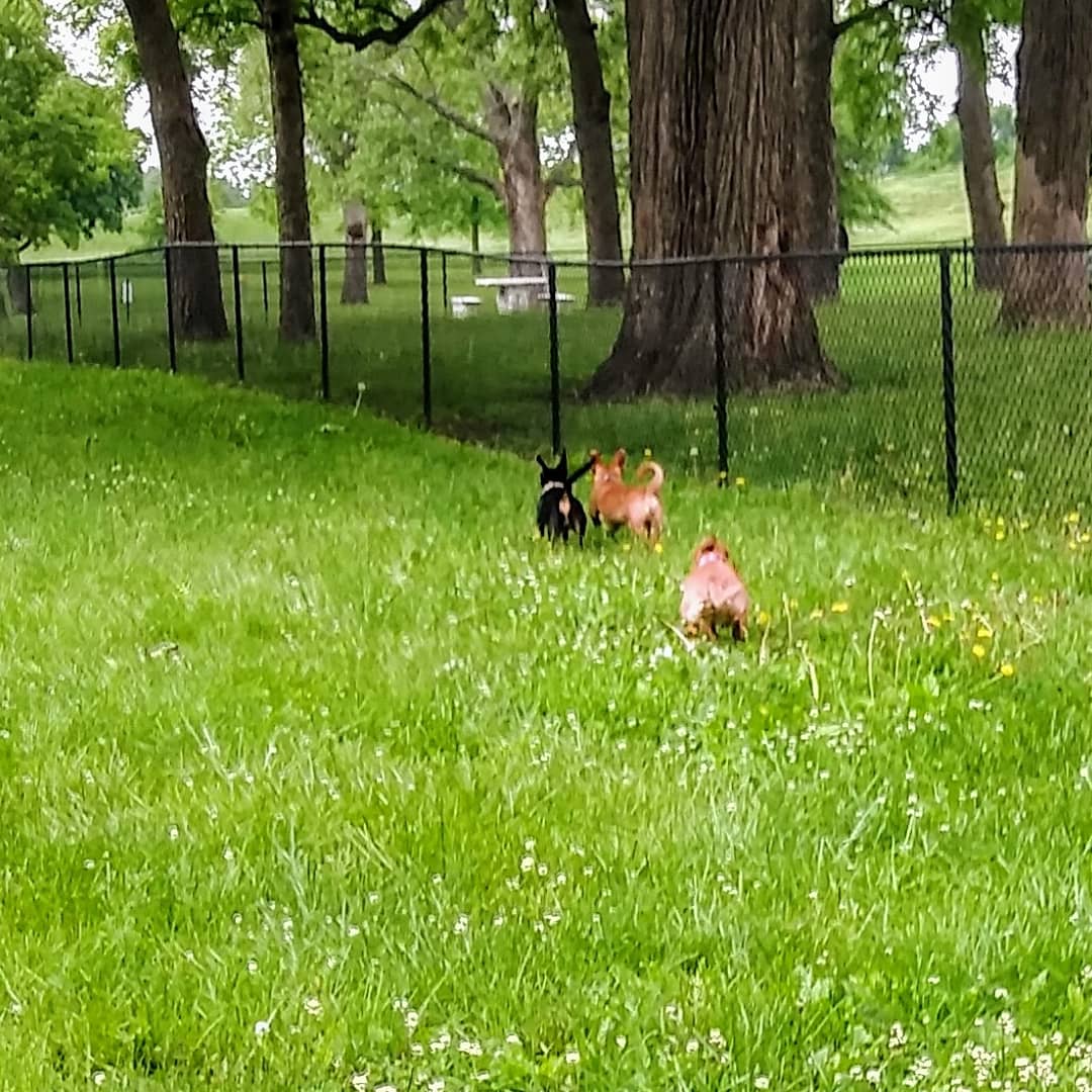 Bark Park - Ottawa, KS