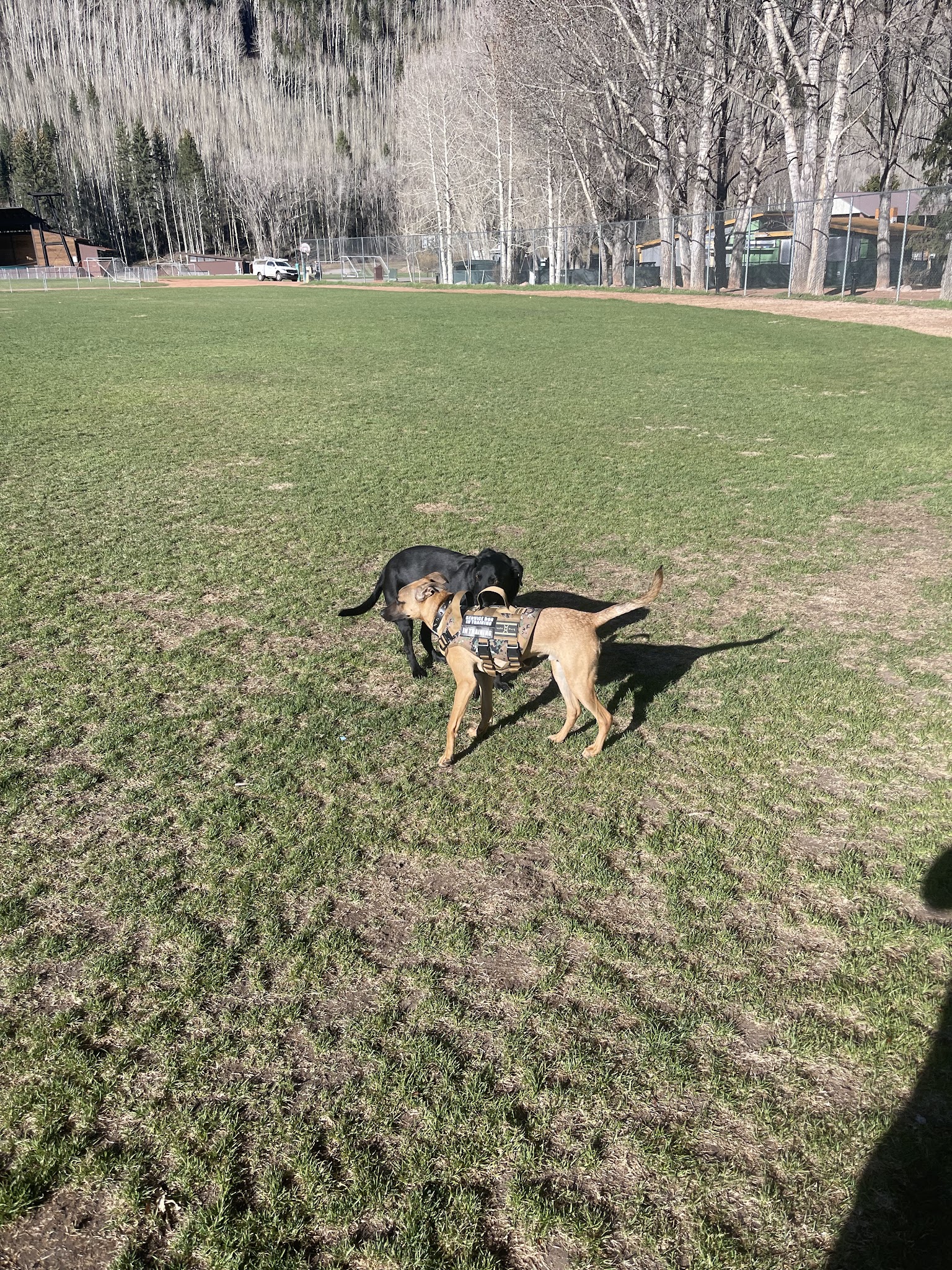 Ouray Dog Park - Ouray, CO