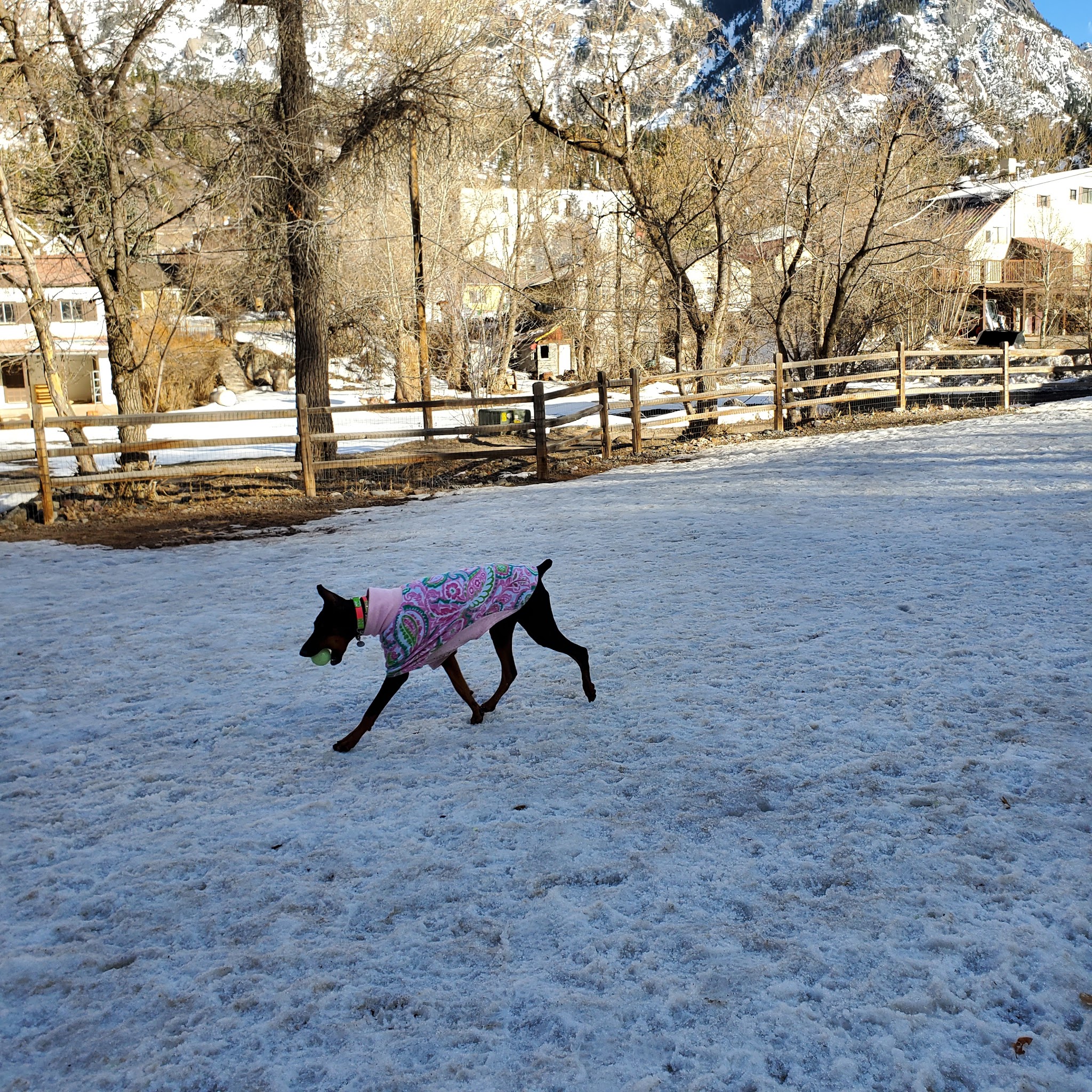 Ouray Dog Park - Ouray, CO