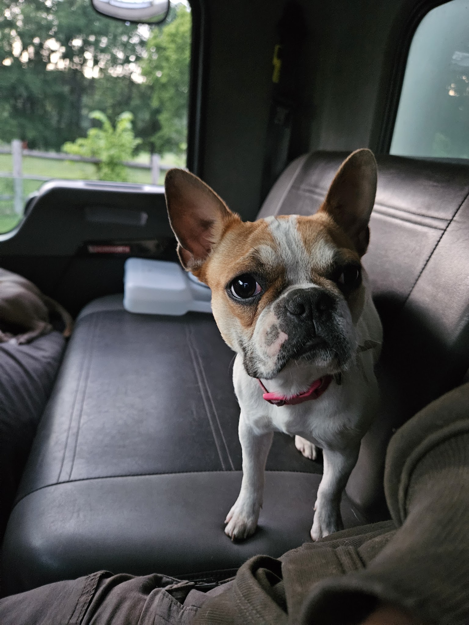 Woodson Park - Overland, MO