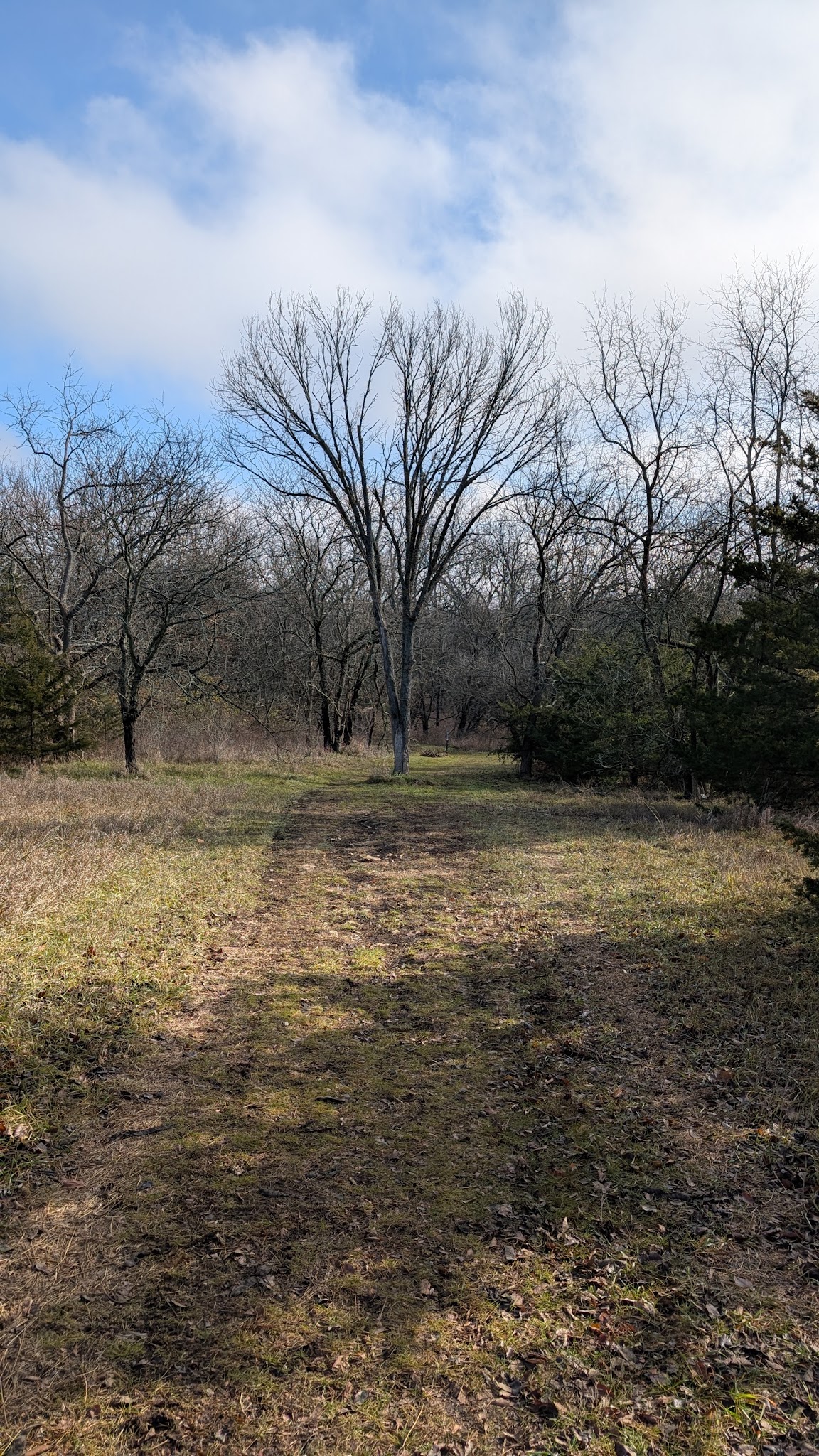 The Backroads - Overland Park, KS