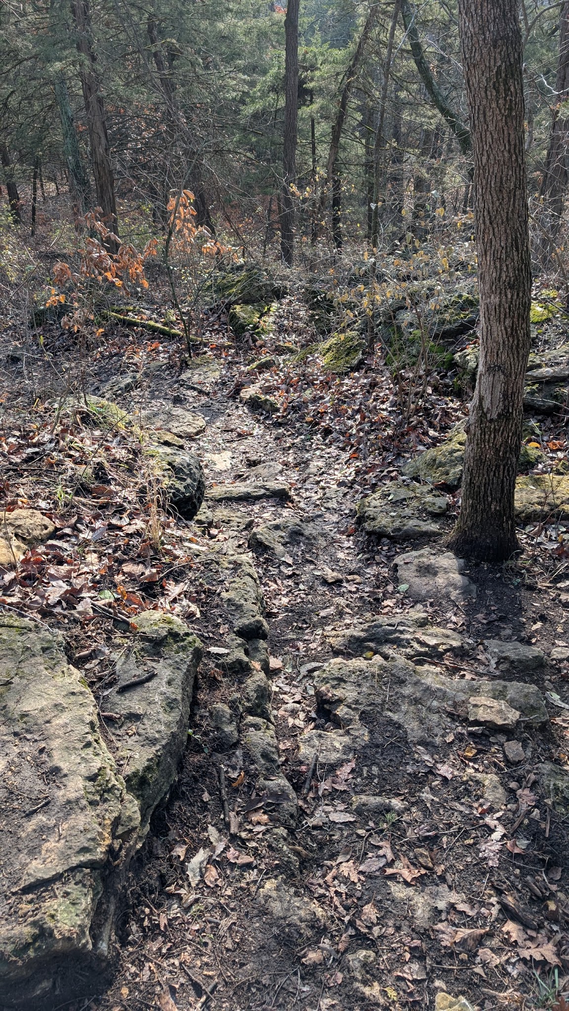 The Backroads - Overland Park, KS