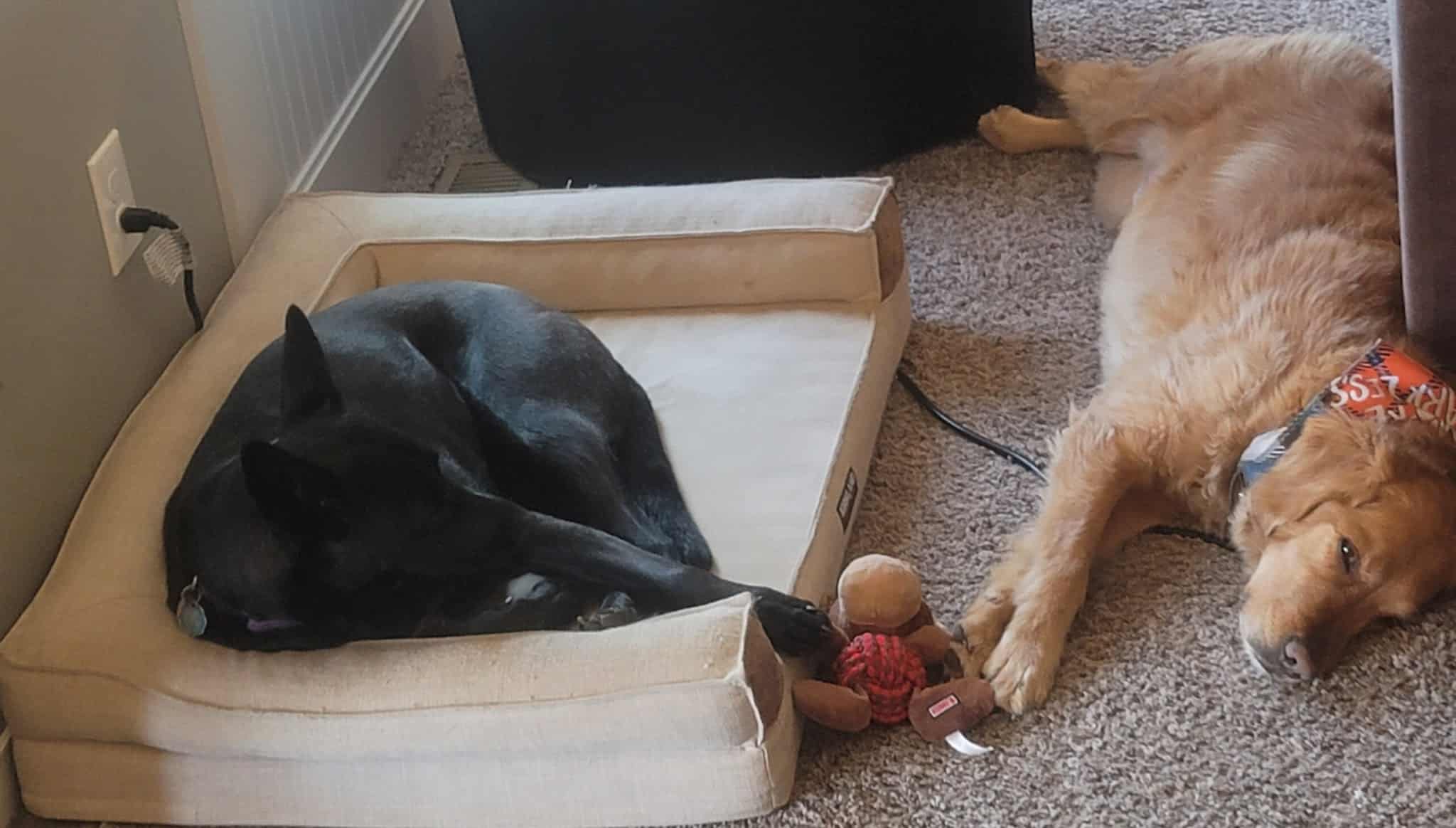 Woof Creek Kennel - Overland Park, KS