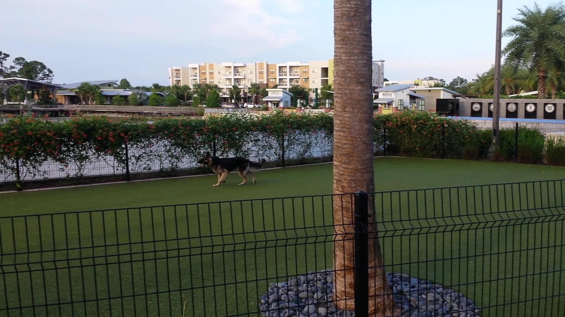Center Lake Doggy Park - Oviedo, FL