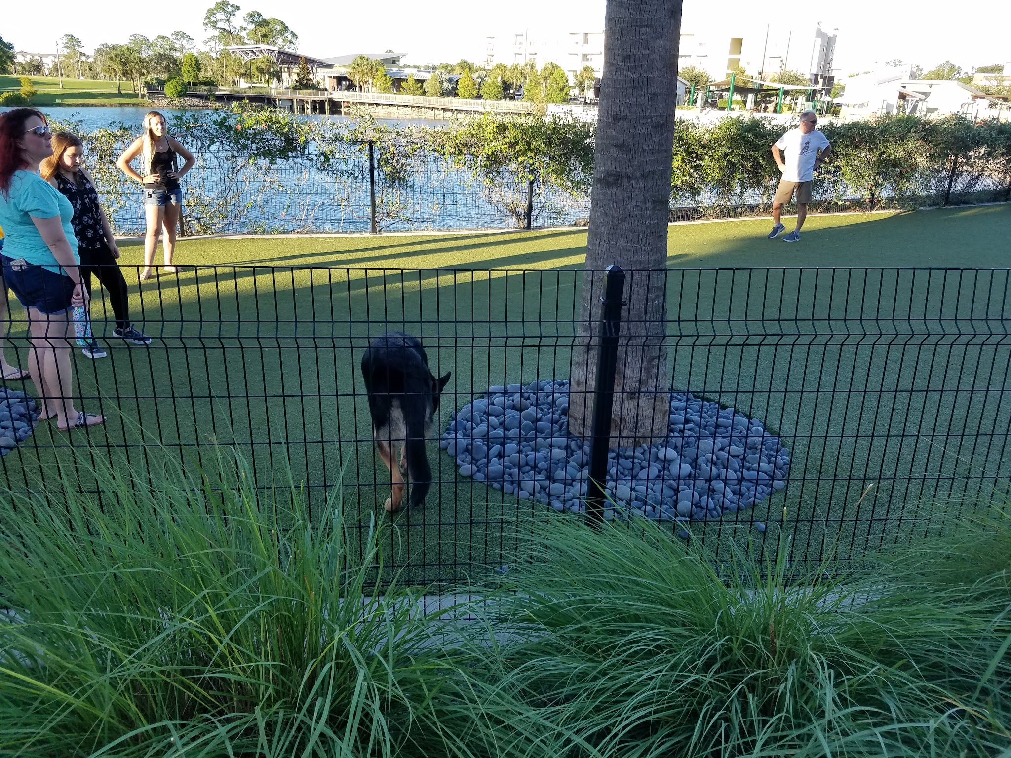 Center Lake Doggy Park - Oviedo, FL