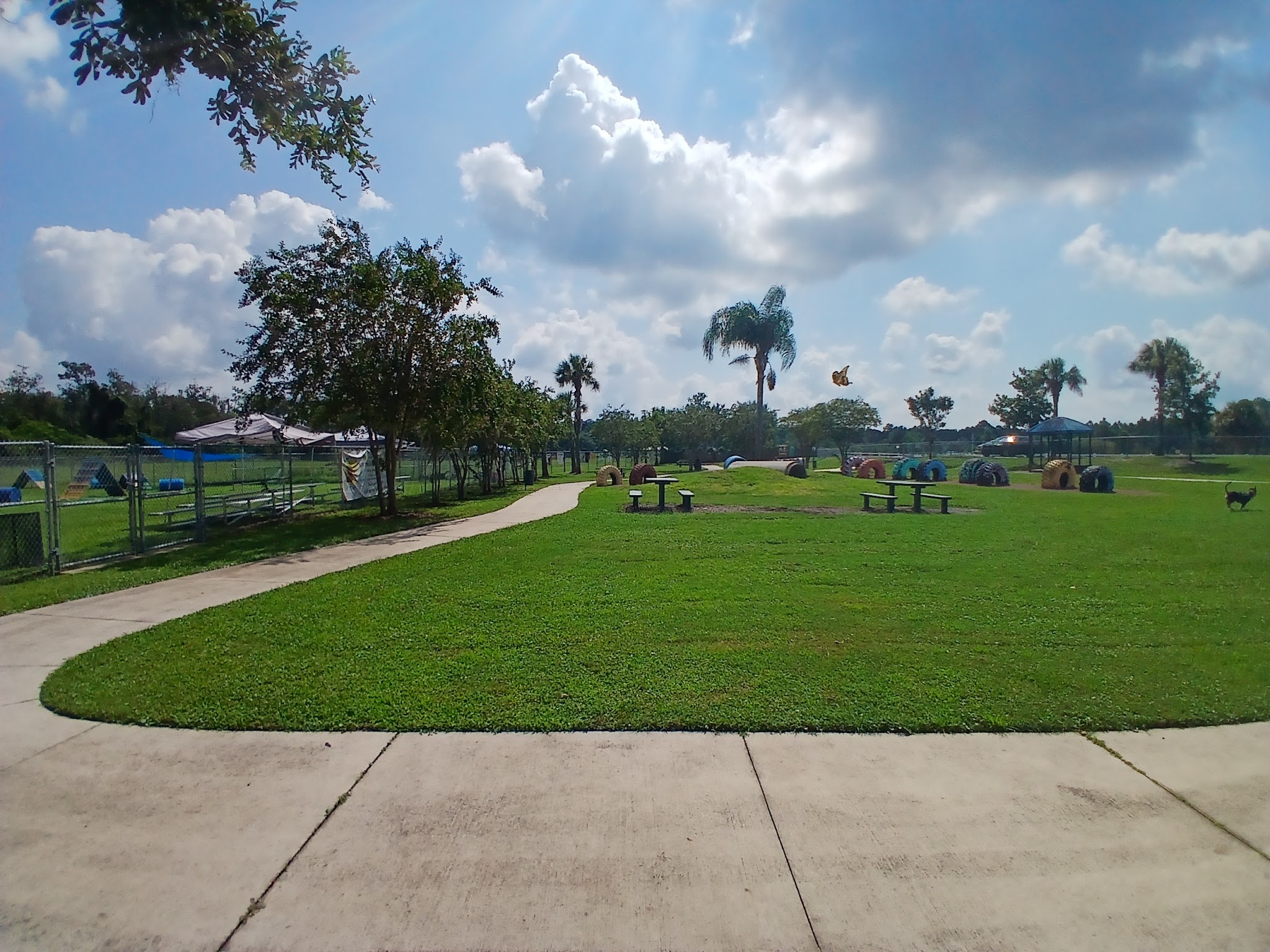 Shane Kelly Bark Park - Oviedo, FL