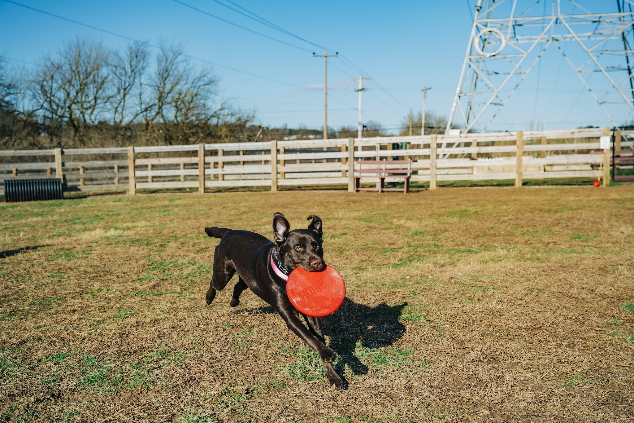 Oxford Area Recreation Dog Park - Oxford, PA