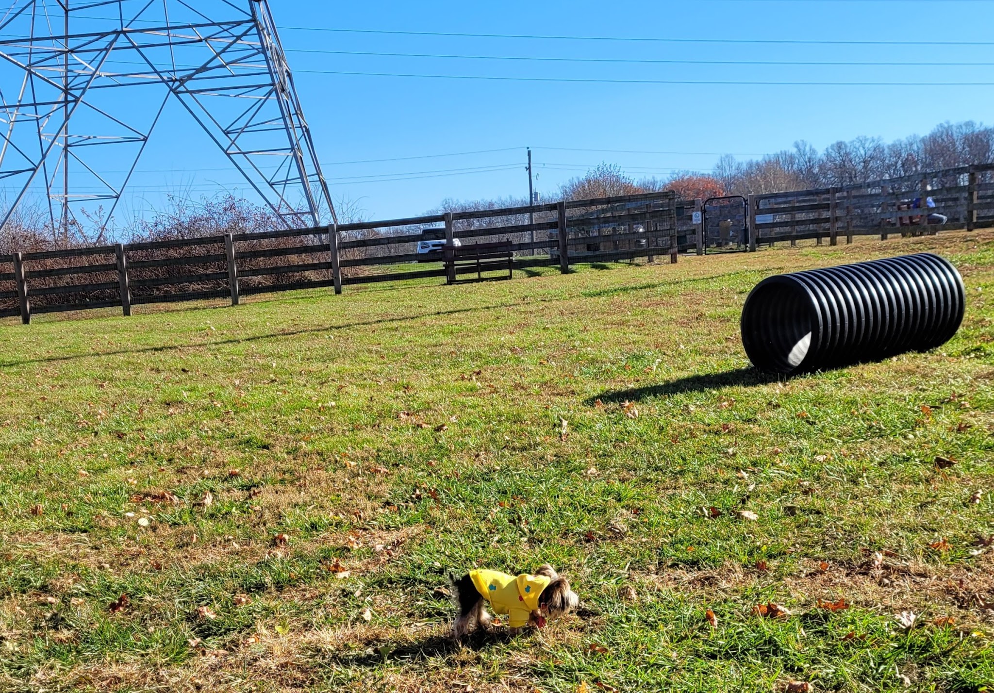 Oxford Area Recreation Dog Park - Oxford, PA