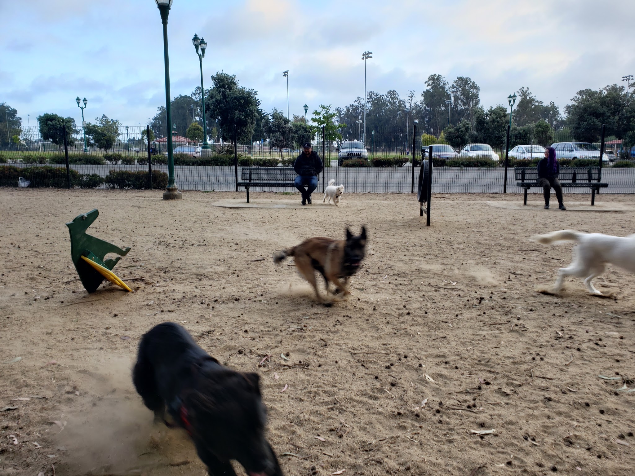 College Dog Park - Oxnard, CA