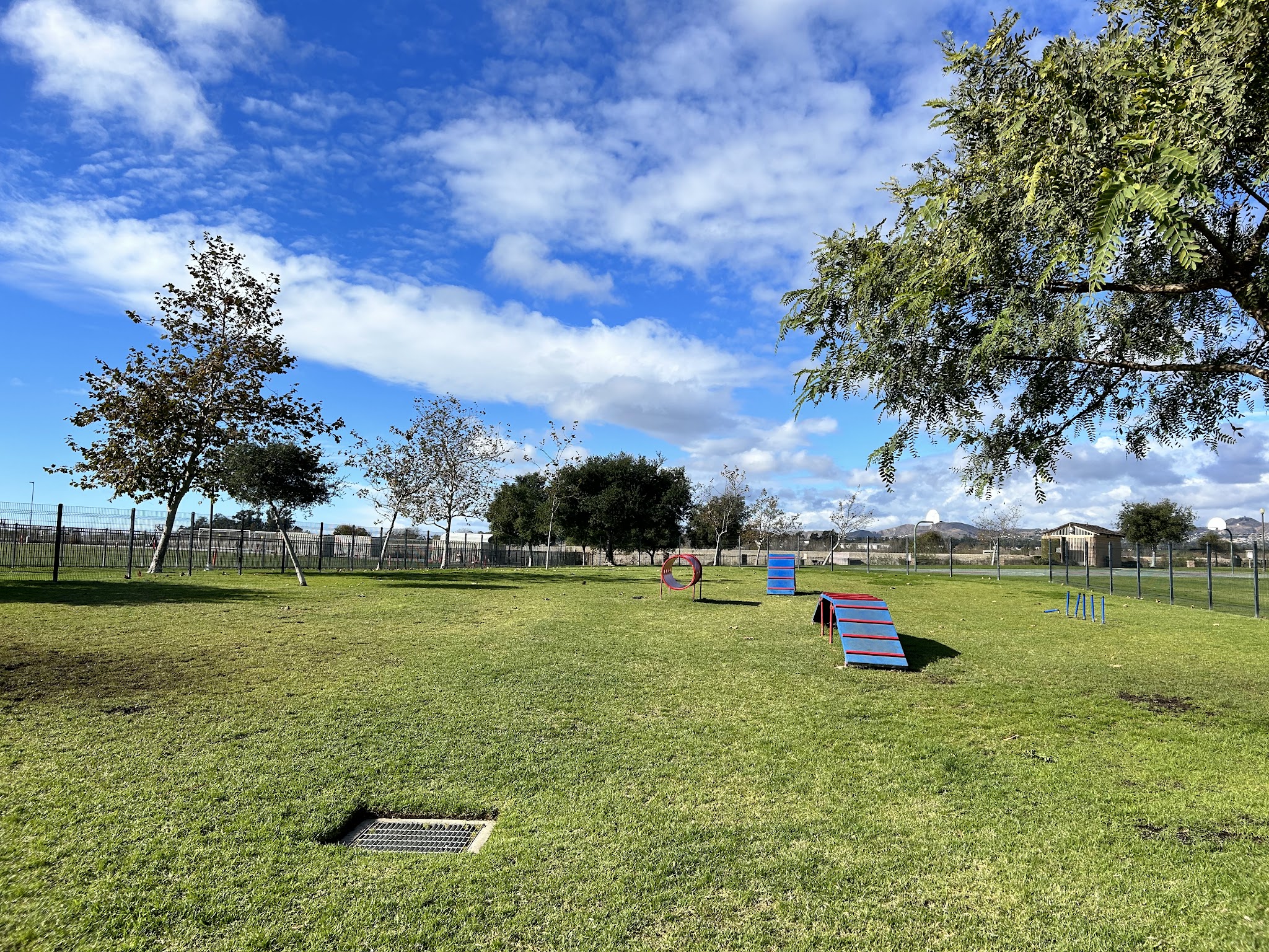 Windrow Off-leash Dog Park - Oxnard, CA
