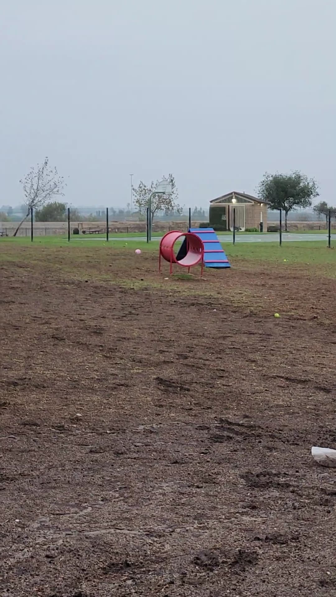 Windrow Off-leash Dog Park - Oxnard, CA