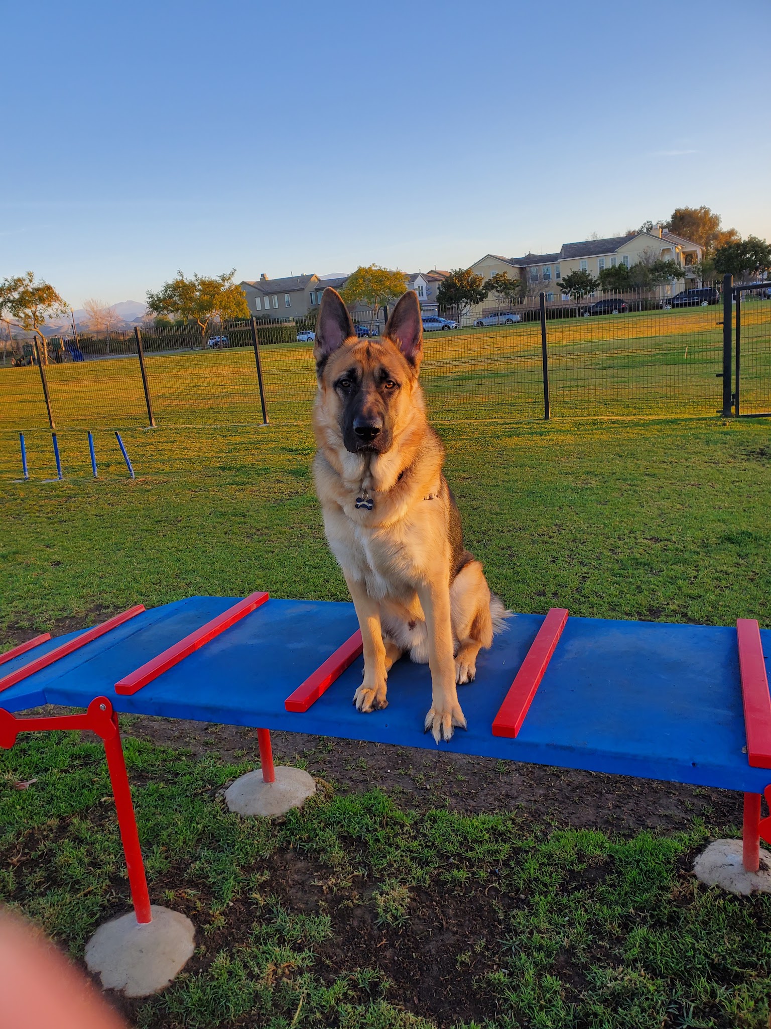 Windrow Off-leash Dog Park - Oxnard, CA