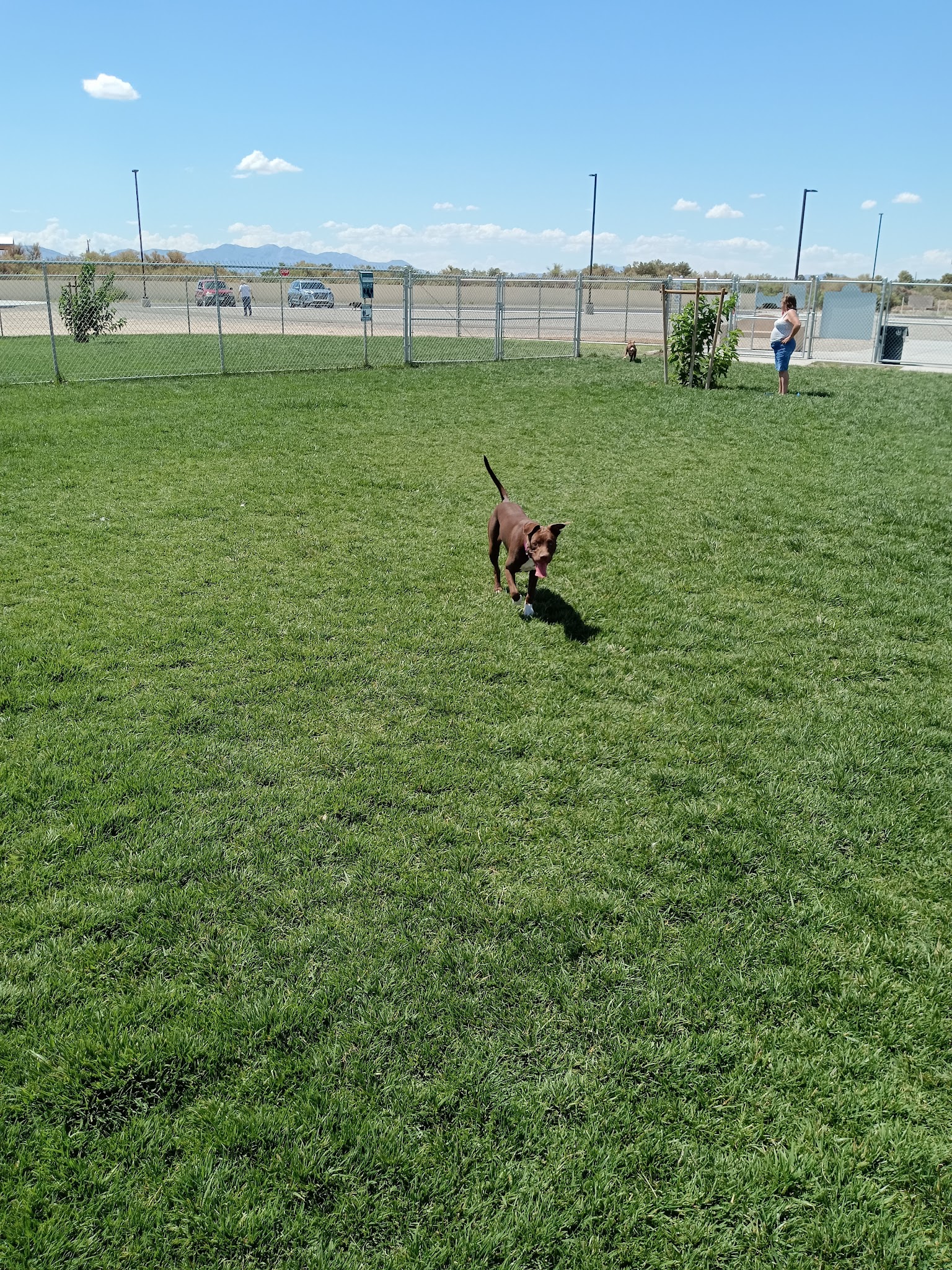 Kellogg Park - Pahrump, NV