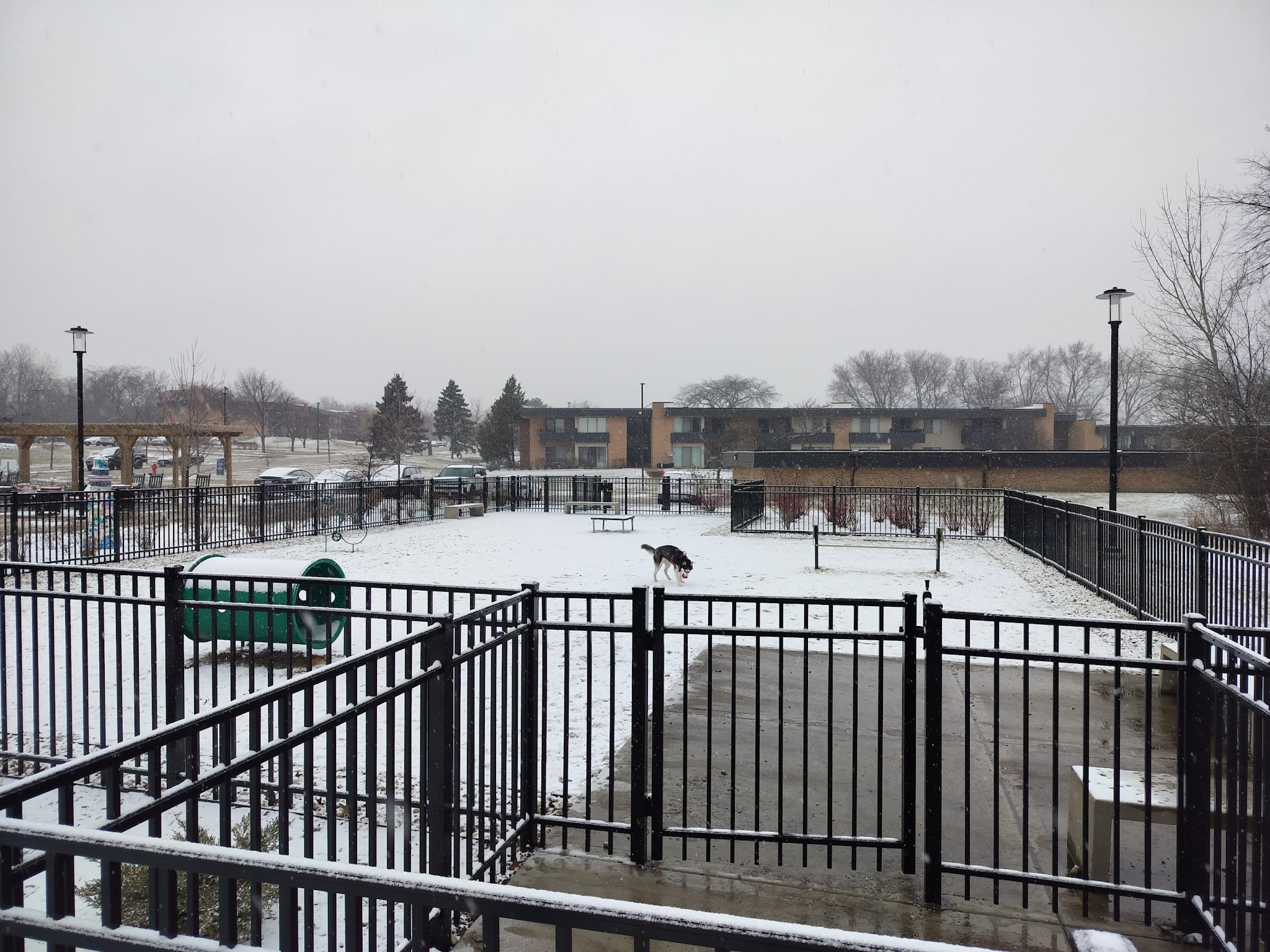 Albion on Northwest dog park - Palatine, IL