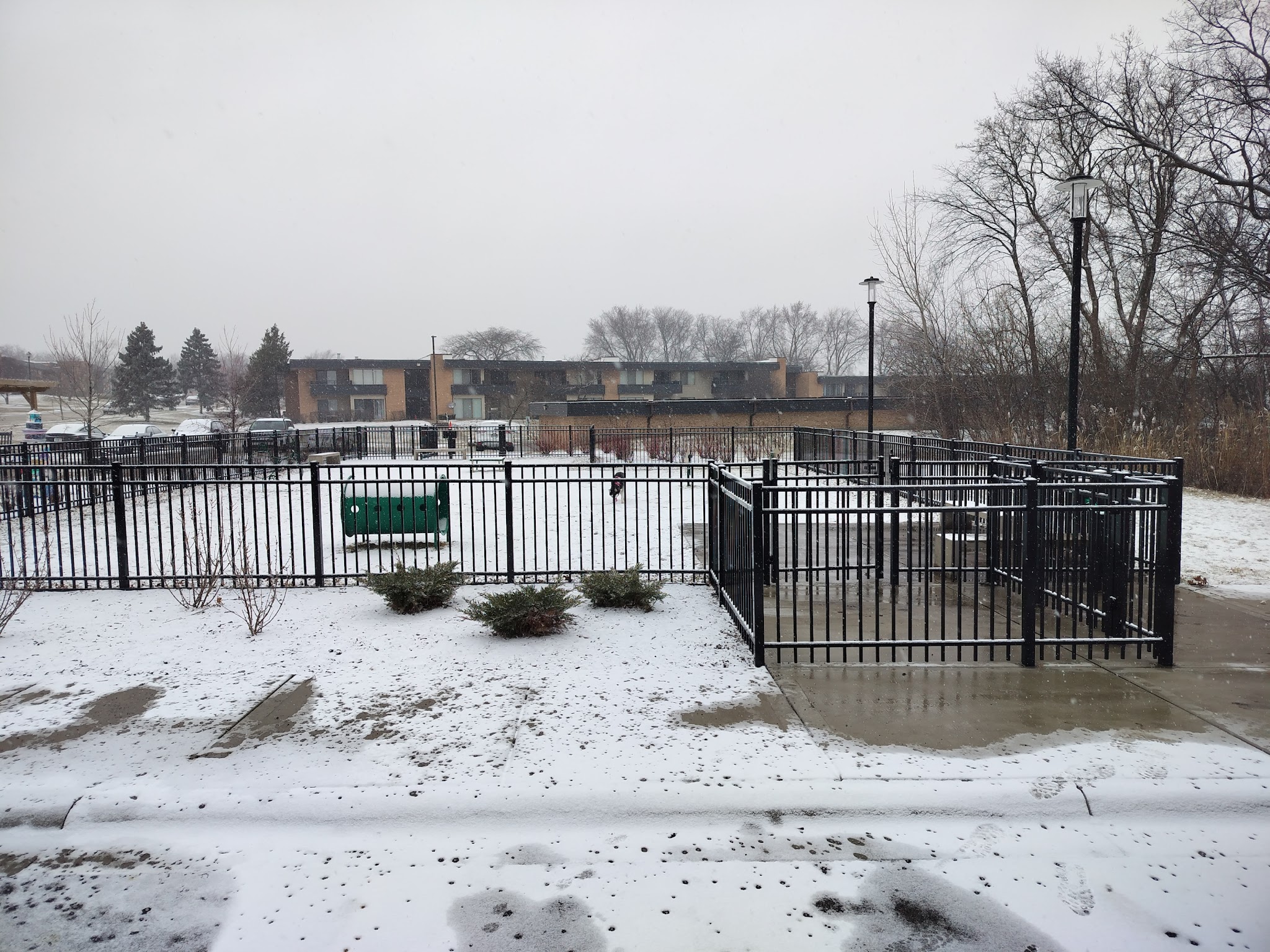 Albion on Northwest dog park - Palatine, IL