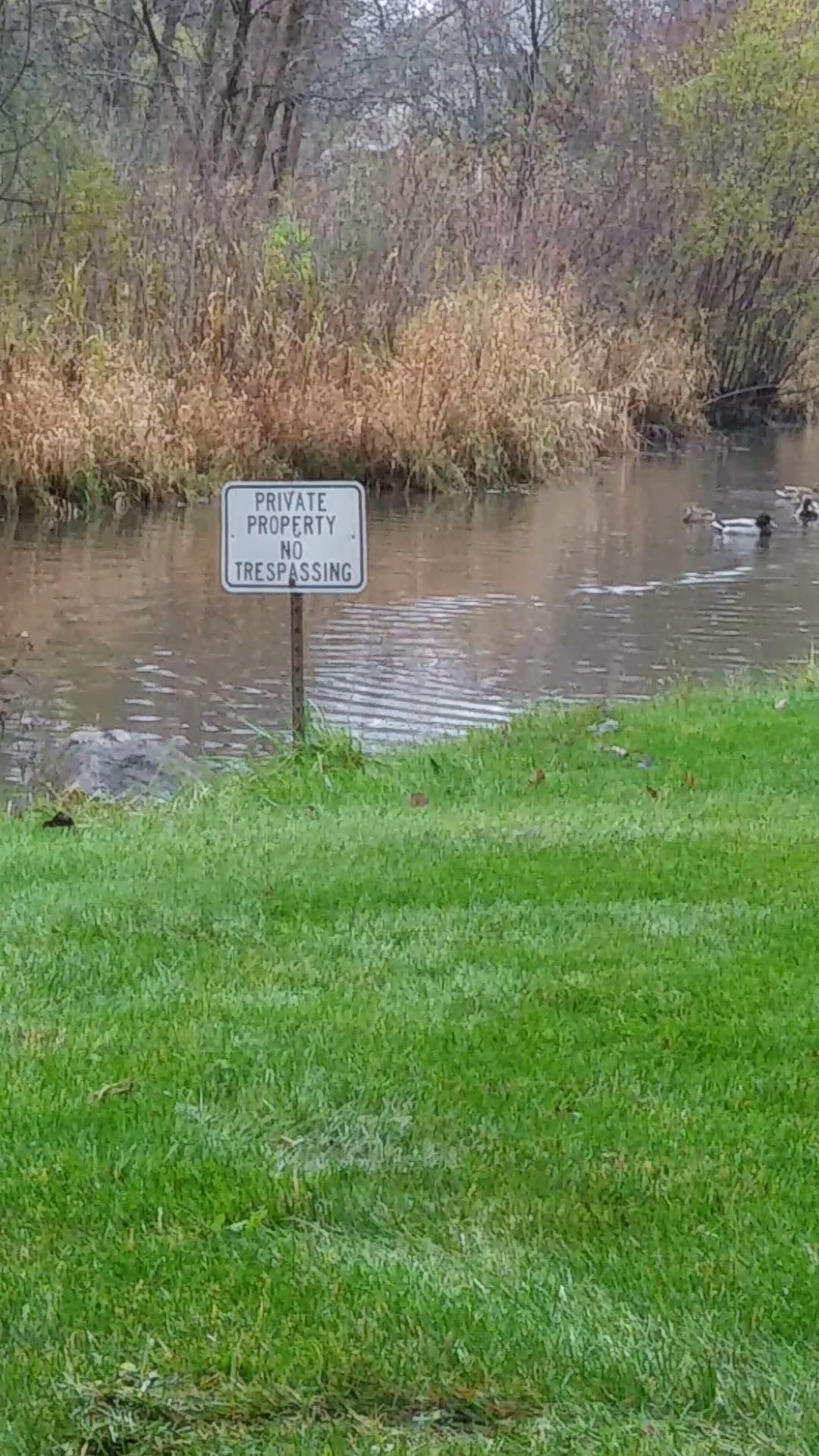 Plum Grove Reservoir Park - Palatine, IL