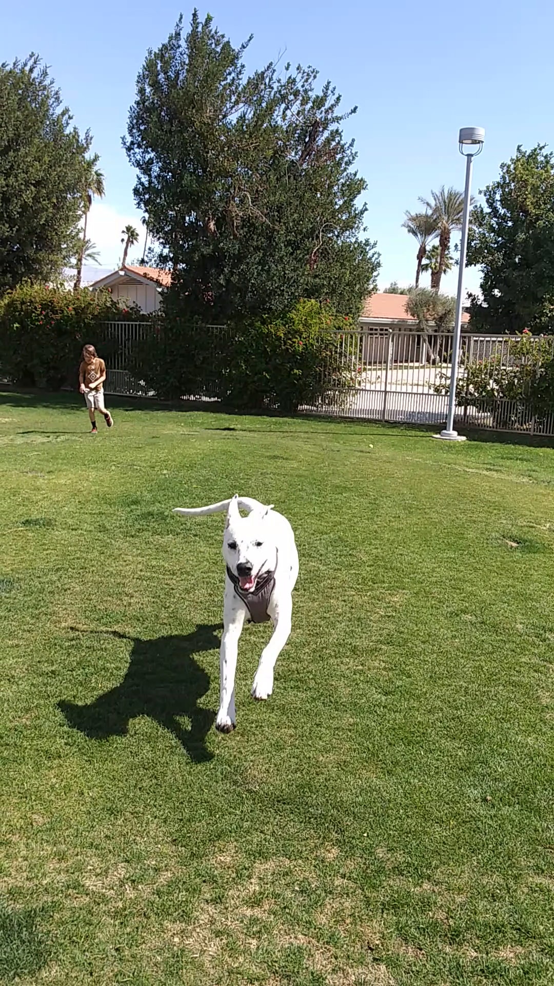 City of Palm Desert Joe Mann Park - Palm Desert, CA