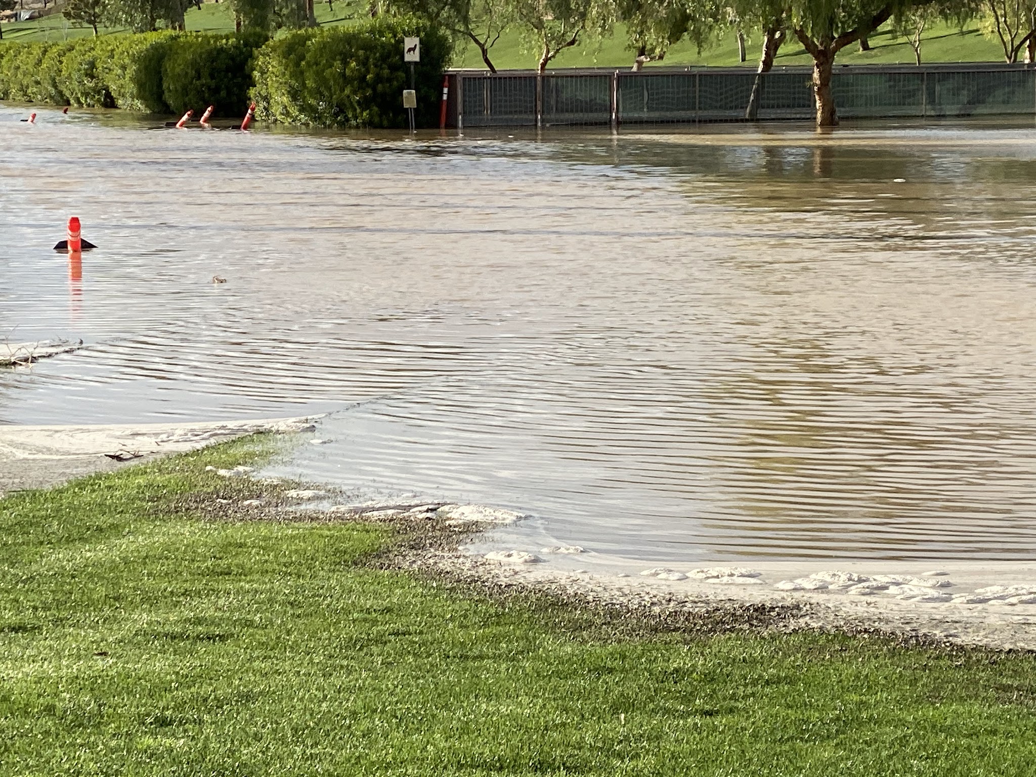 Greenbelt Dog Park (for Sun City resident/guest use only) - Palm Desert, CA