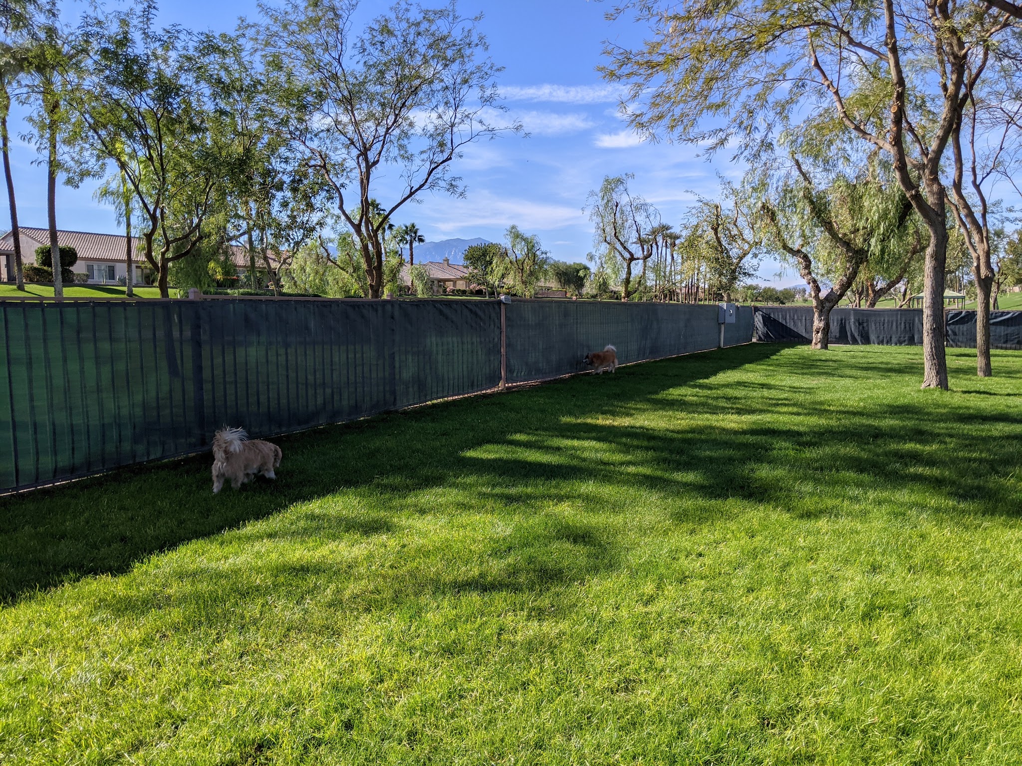 Greenbelt Dog Park (for Sun City resident/guest use only) - Palm Desert, CA