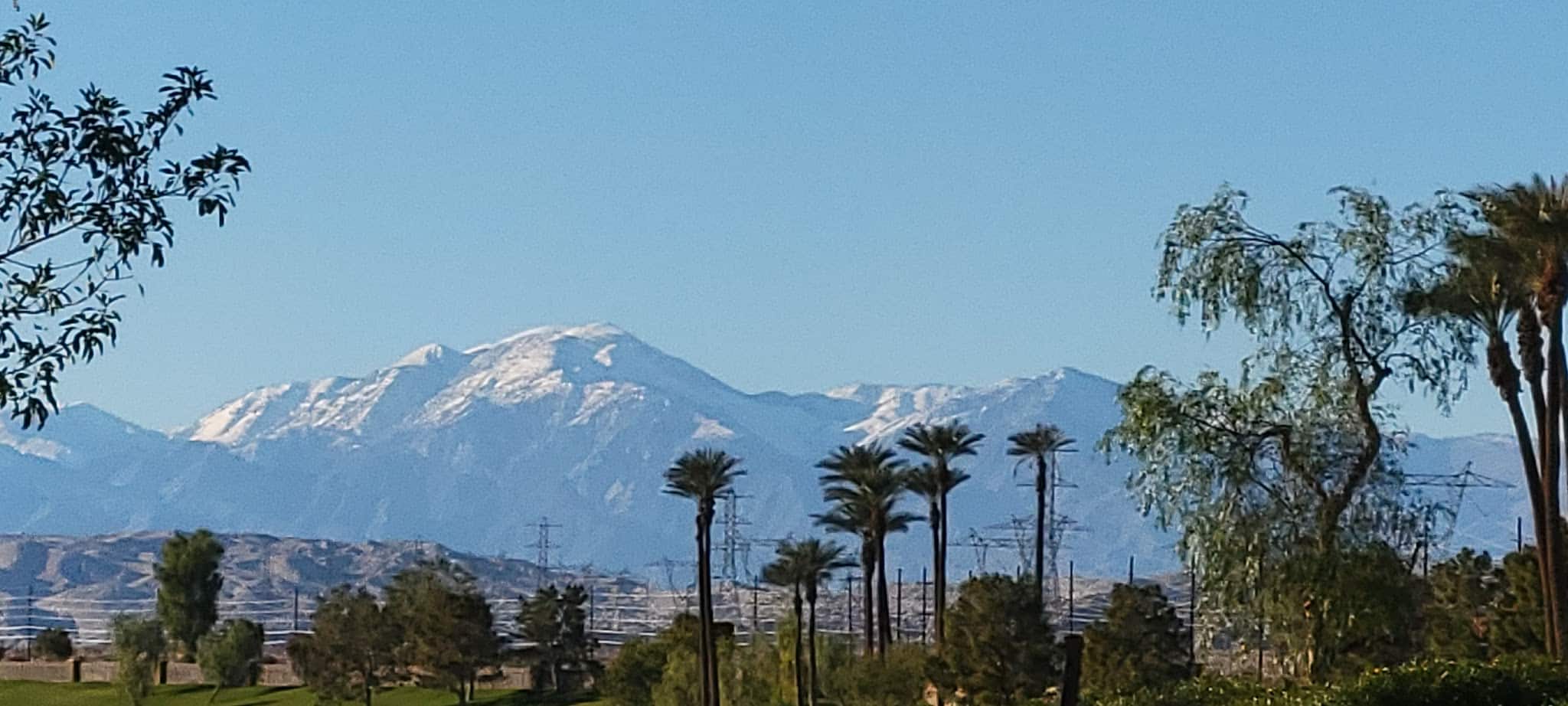 Greenbelt Dog Park (for Sun City resident/guest use only) - Palm Desert, CA