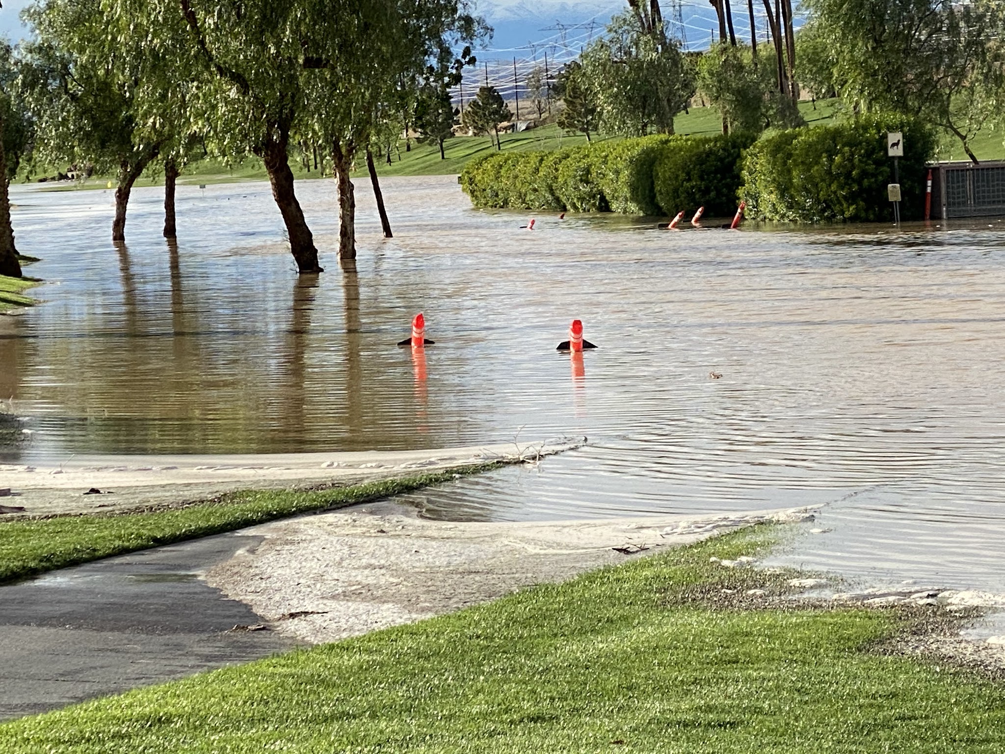 Greenbelt Dog Park (for Sun City resident/guest use only) - Palm Desert, CA