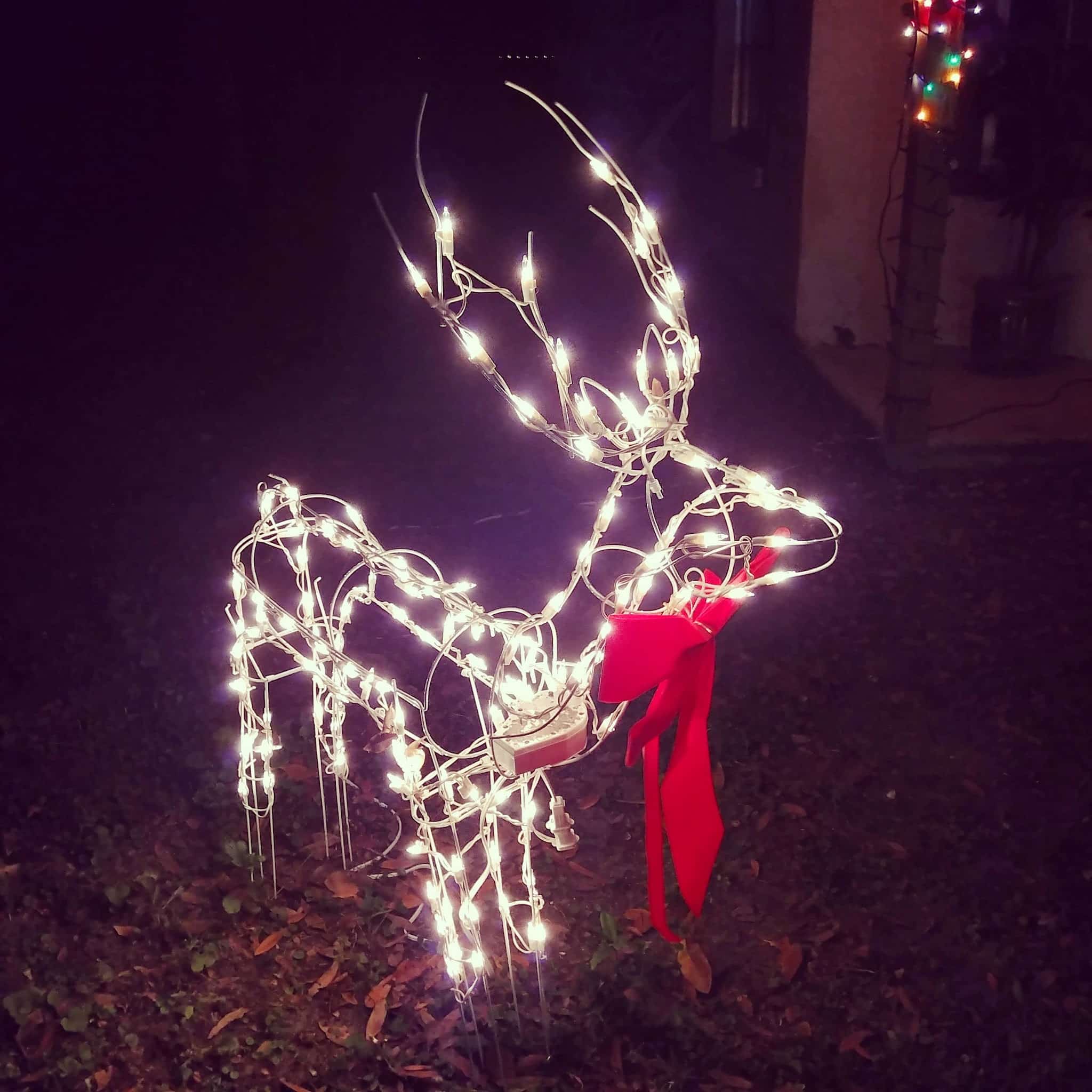 Lake St George Park - Palm Harbor, FL