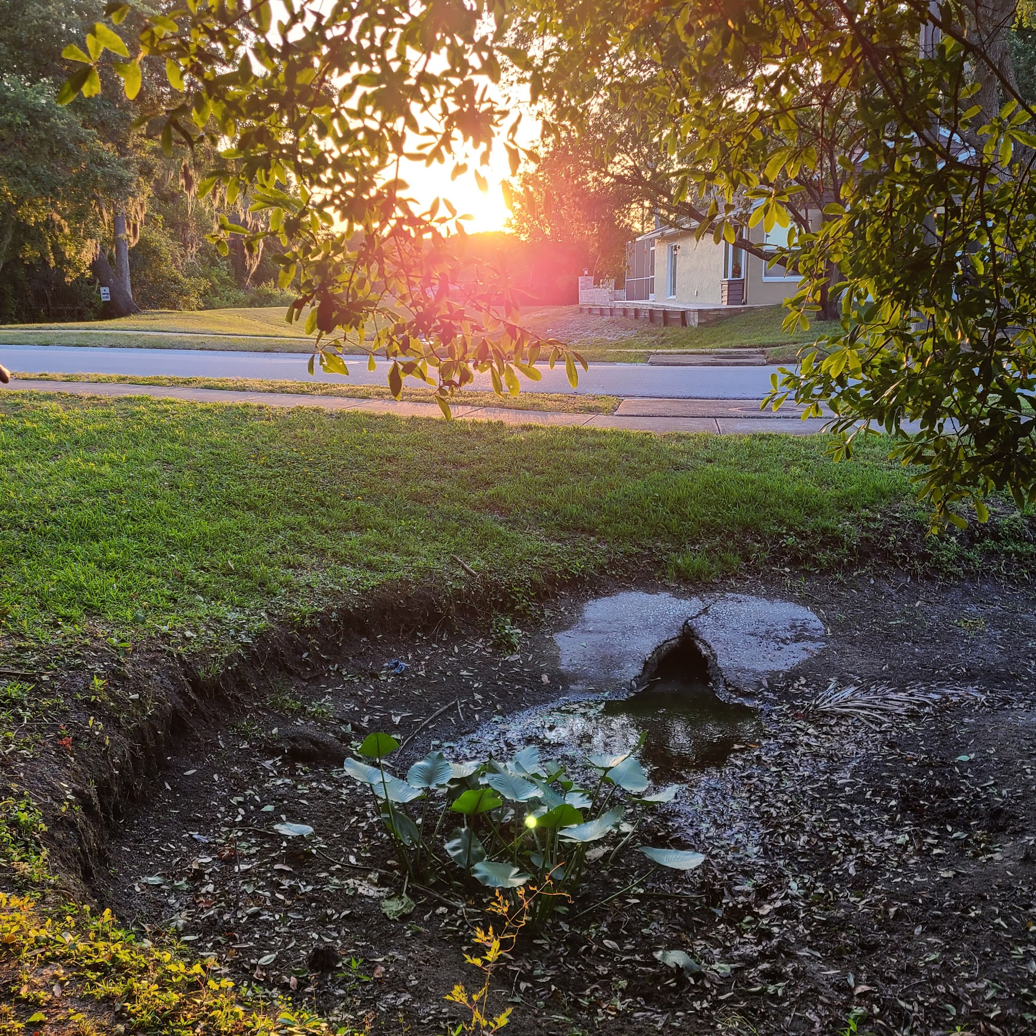 Lake St George Park - Palm Harbor, FL