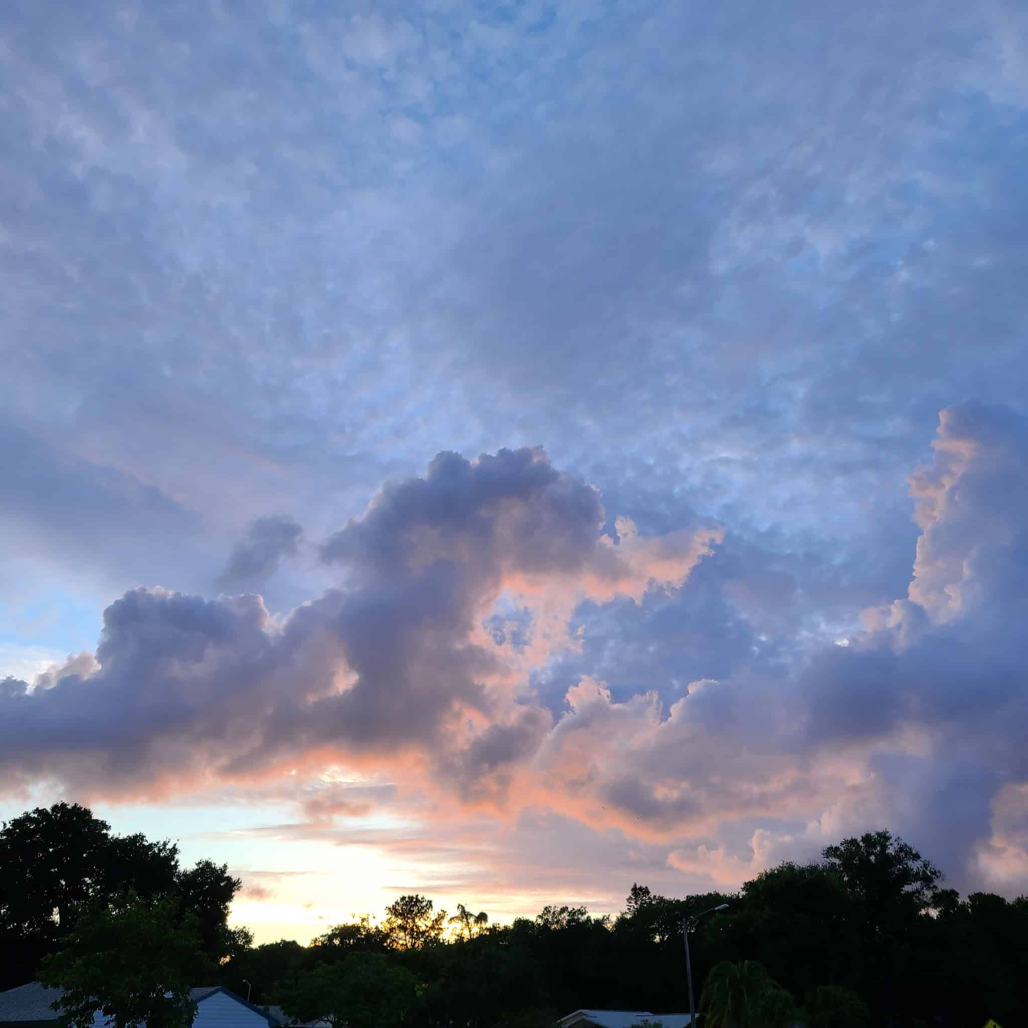 Lake St George Park - Palm Harbor, FL