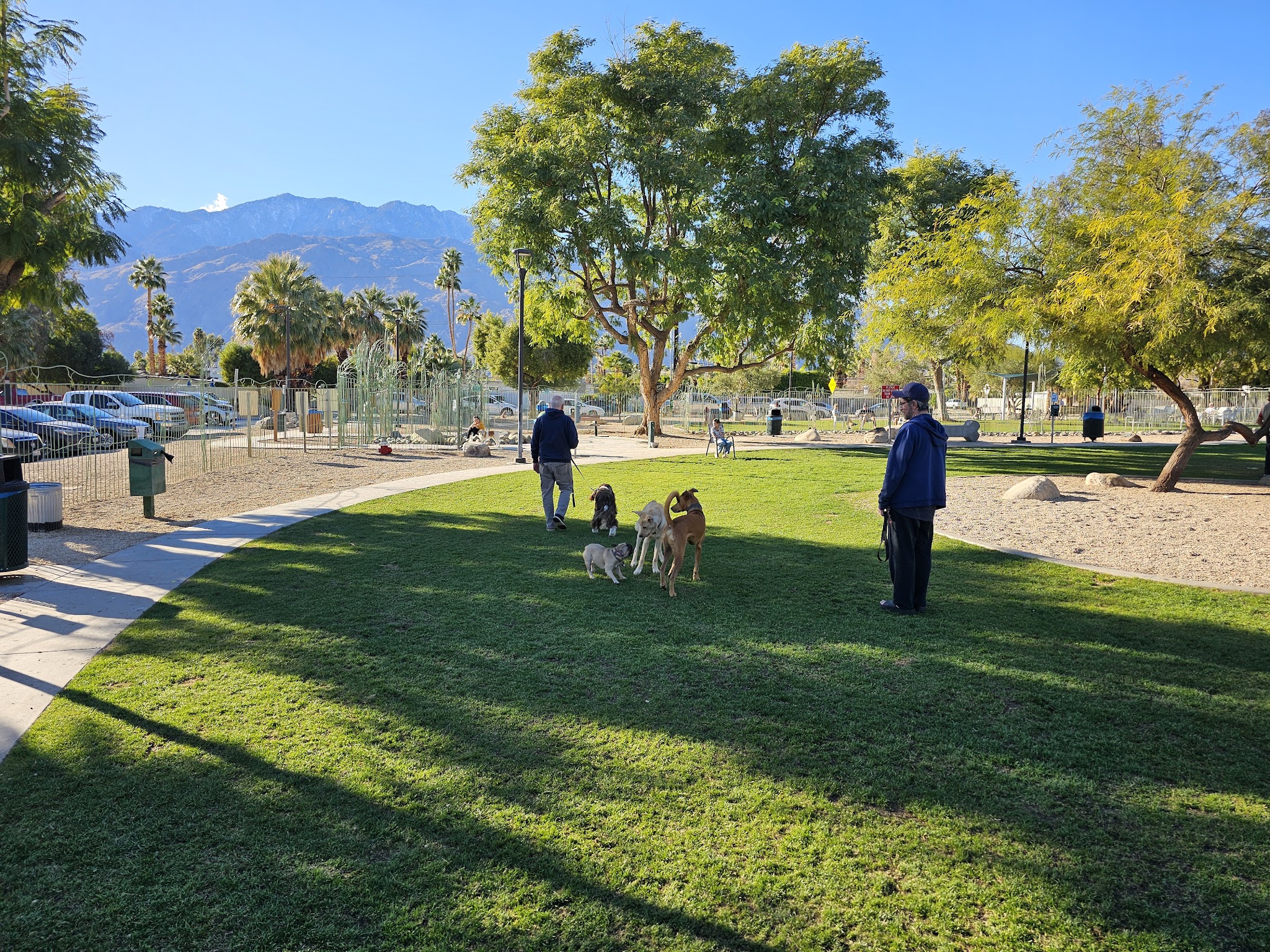 David H. Ready Palm Springs Dog Park - Palm Springs, CA