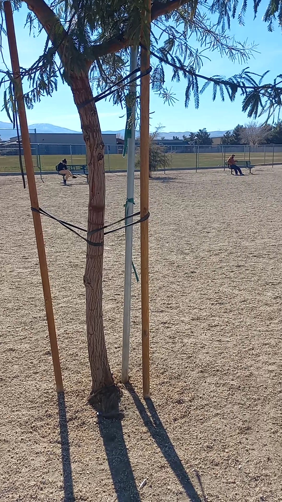 Yellen Dog Park - Palmdale, CA