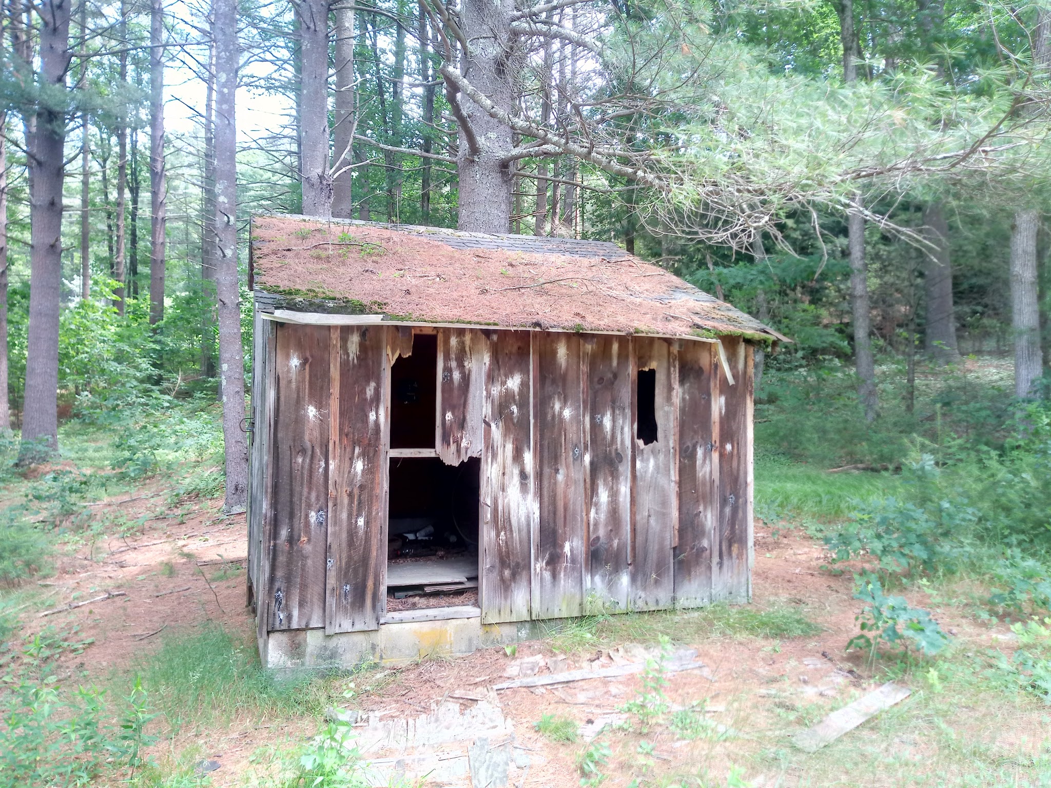 Burleigh Park - Palmer, MA