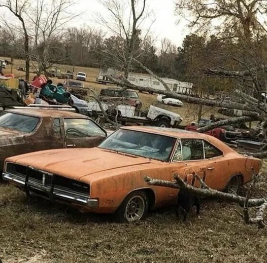 Palmerton Dog Park - Palmerton, PA