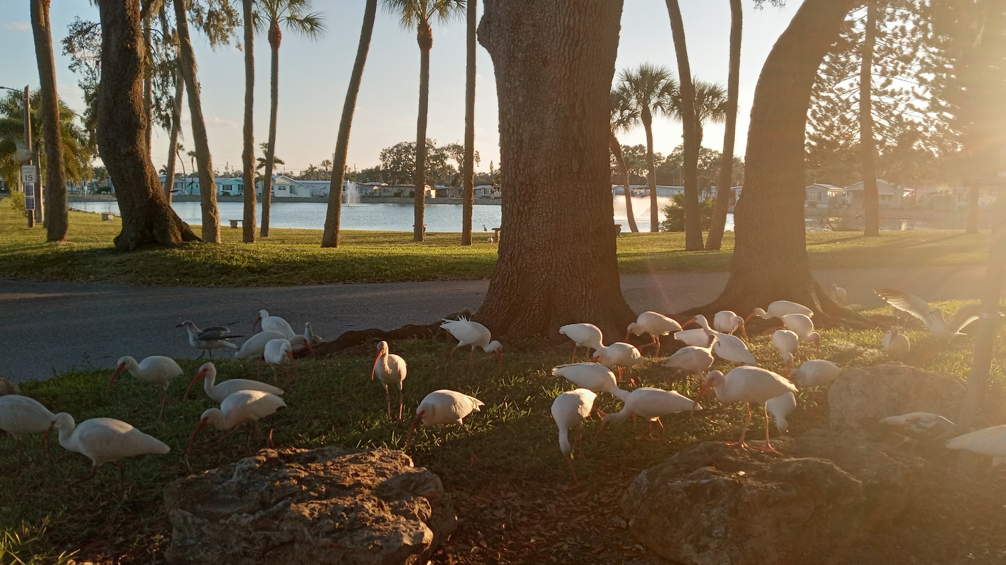 17th Street Park - Palmetto, FL