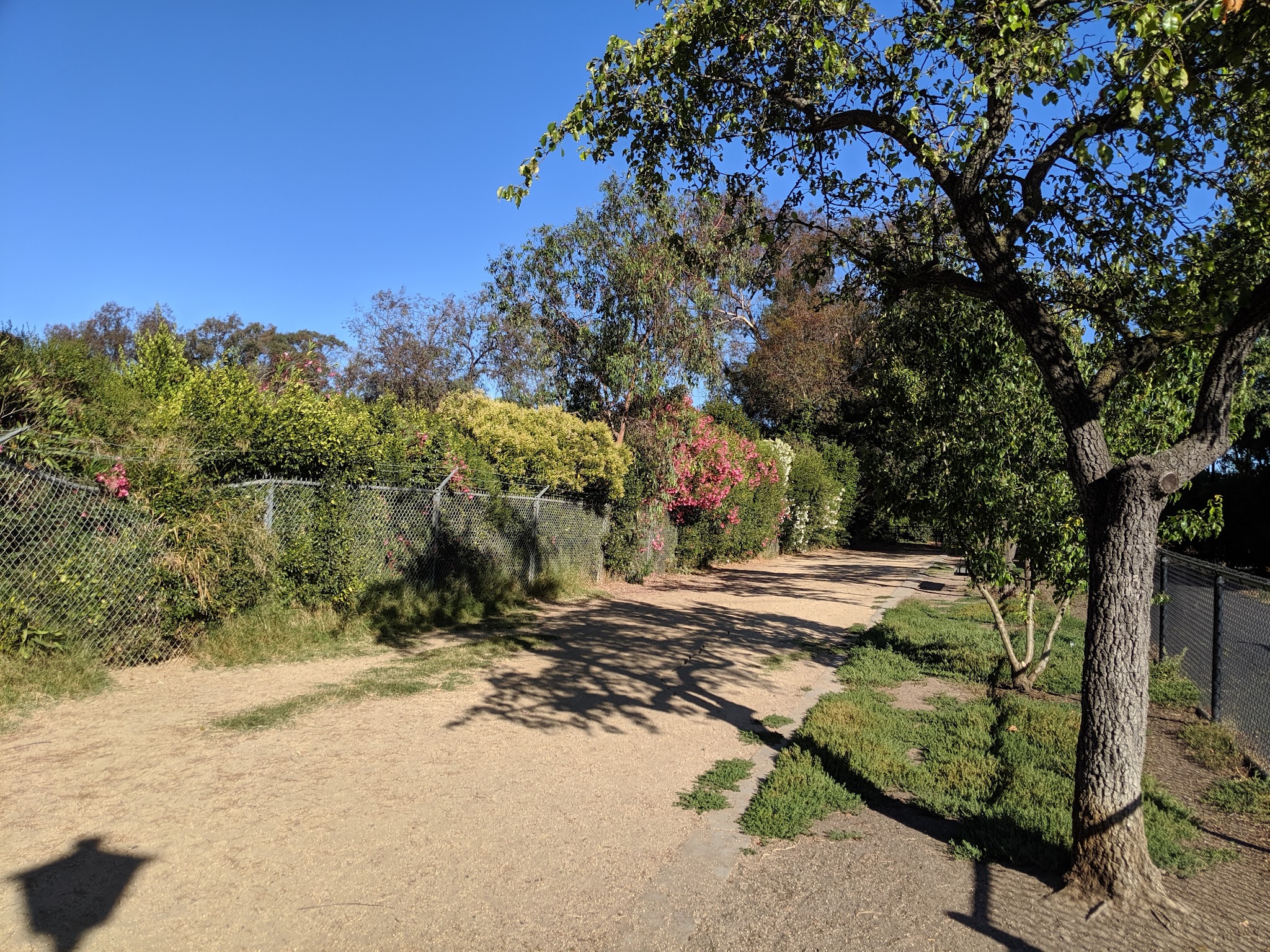 Greer Dog Park - Palo Alto, CA