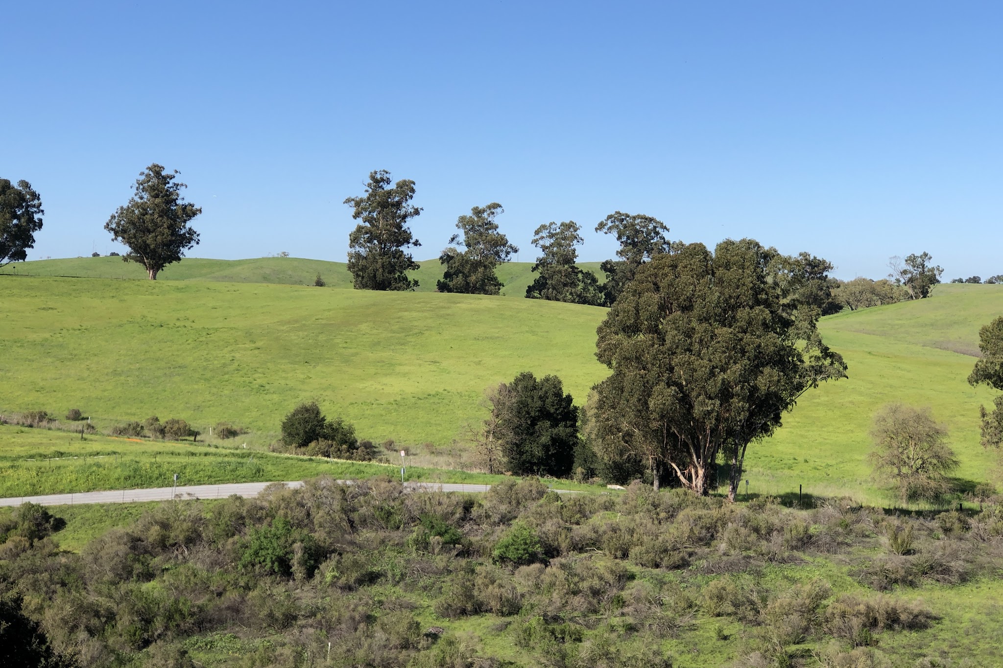 Pearson-Arastradero Preserve - Palo Alto, CA