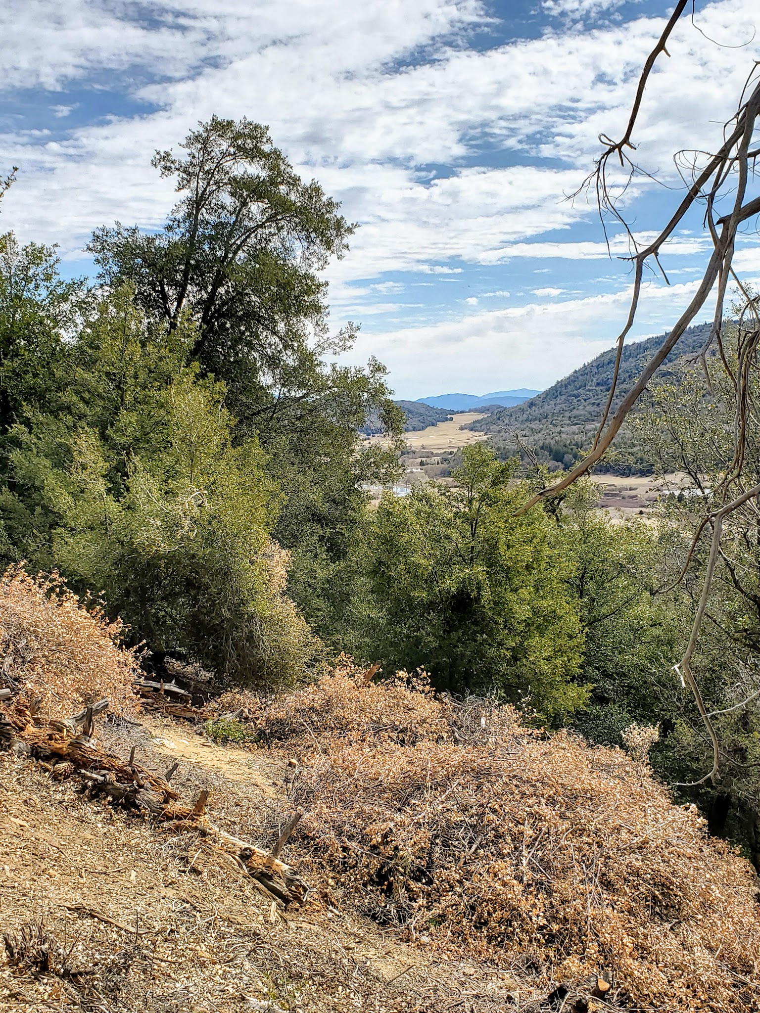Observatory Trail Head - Palomar Mountain, CA