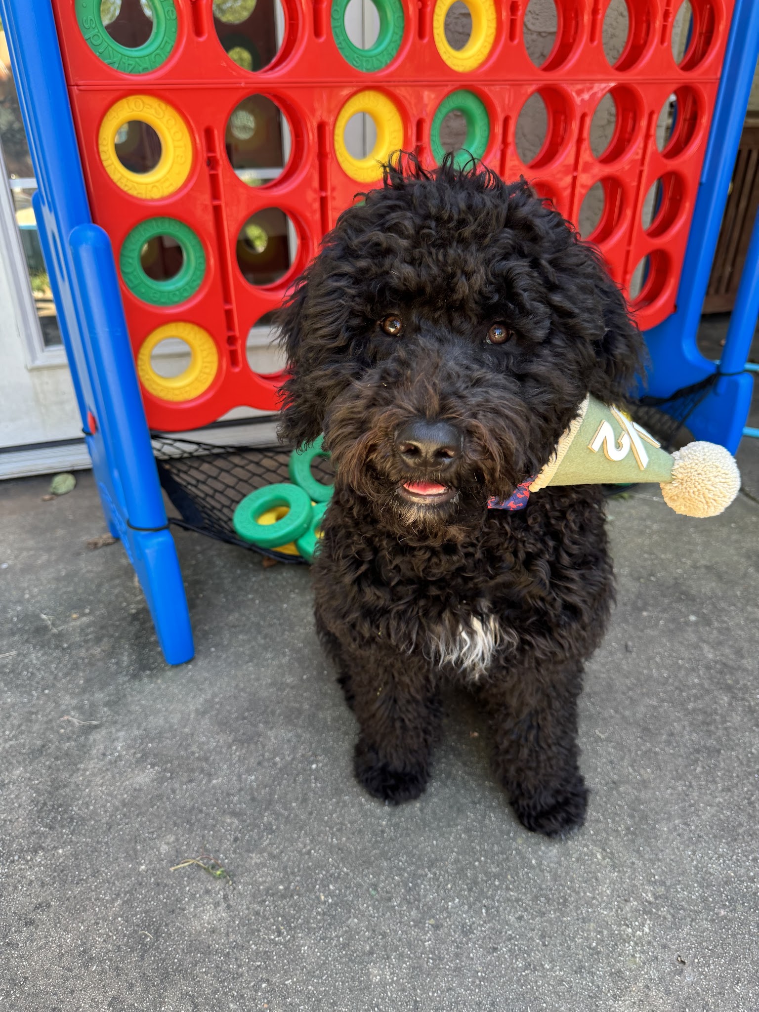 PORTIES OF PARADISE - Paradise, PA