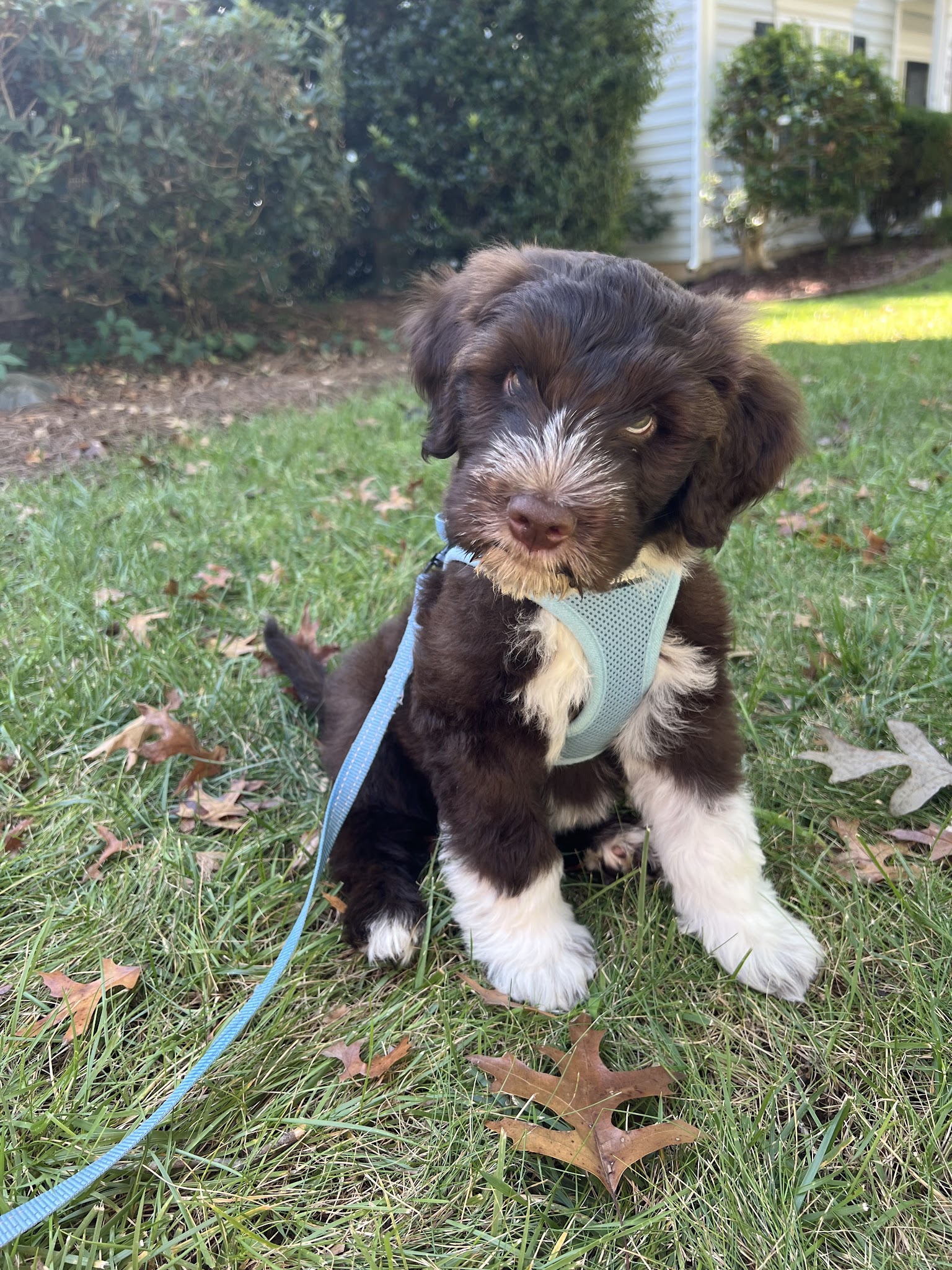 PORTIES OF PARADISE - Paradise, PA