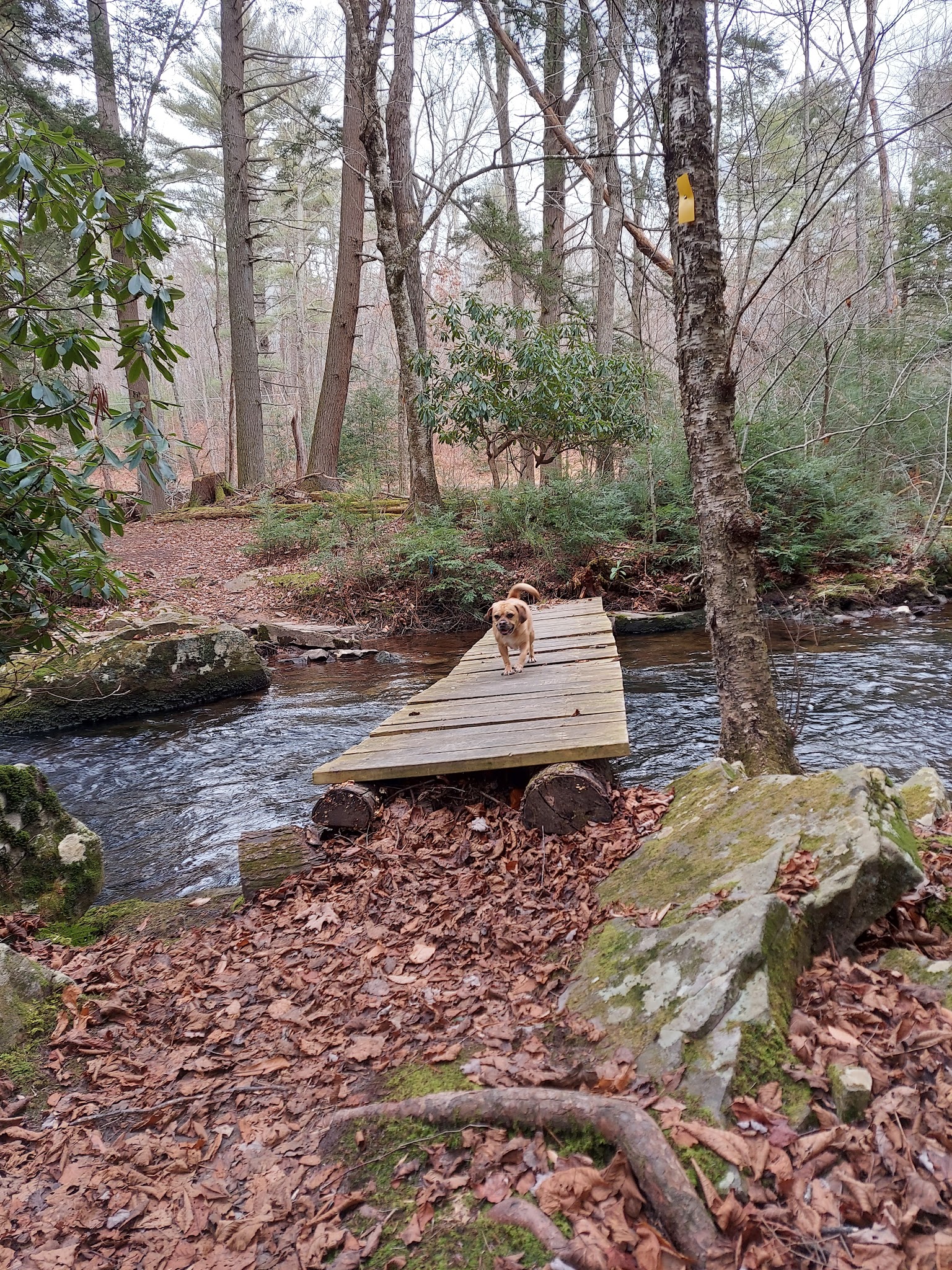 Van Buskirk Farm Preserve - Paradise Valley, PA