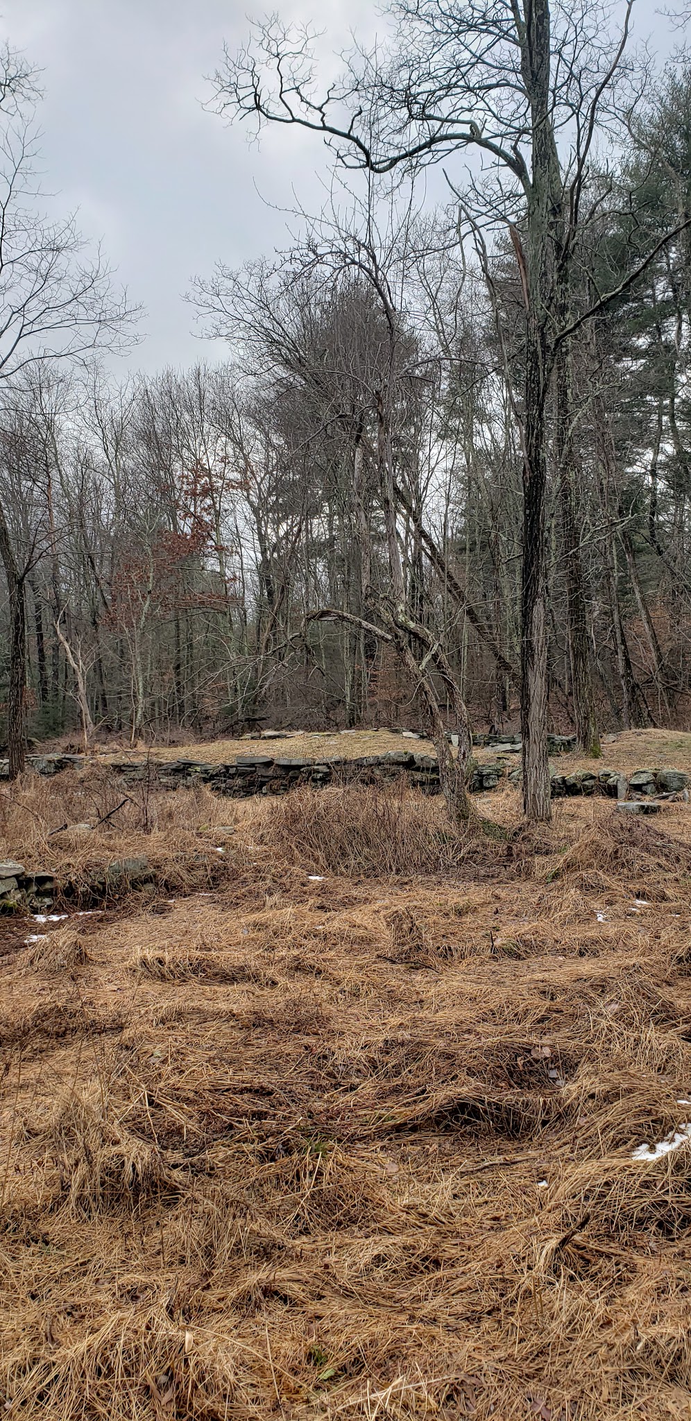 Van Buskirk Farm Preserve - Paradise Valley, PA