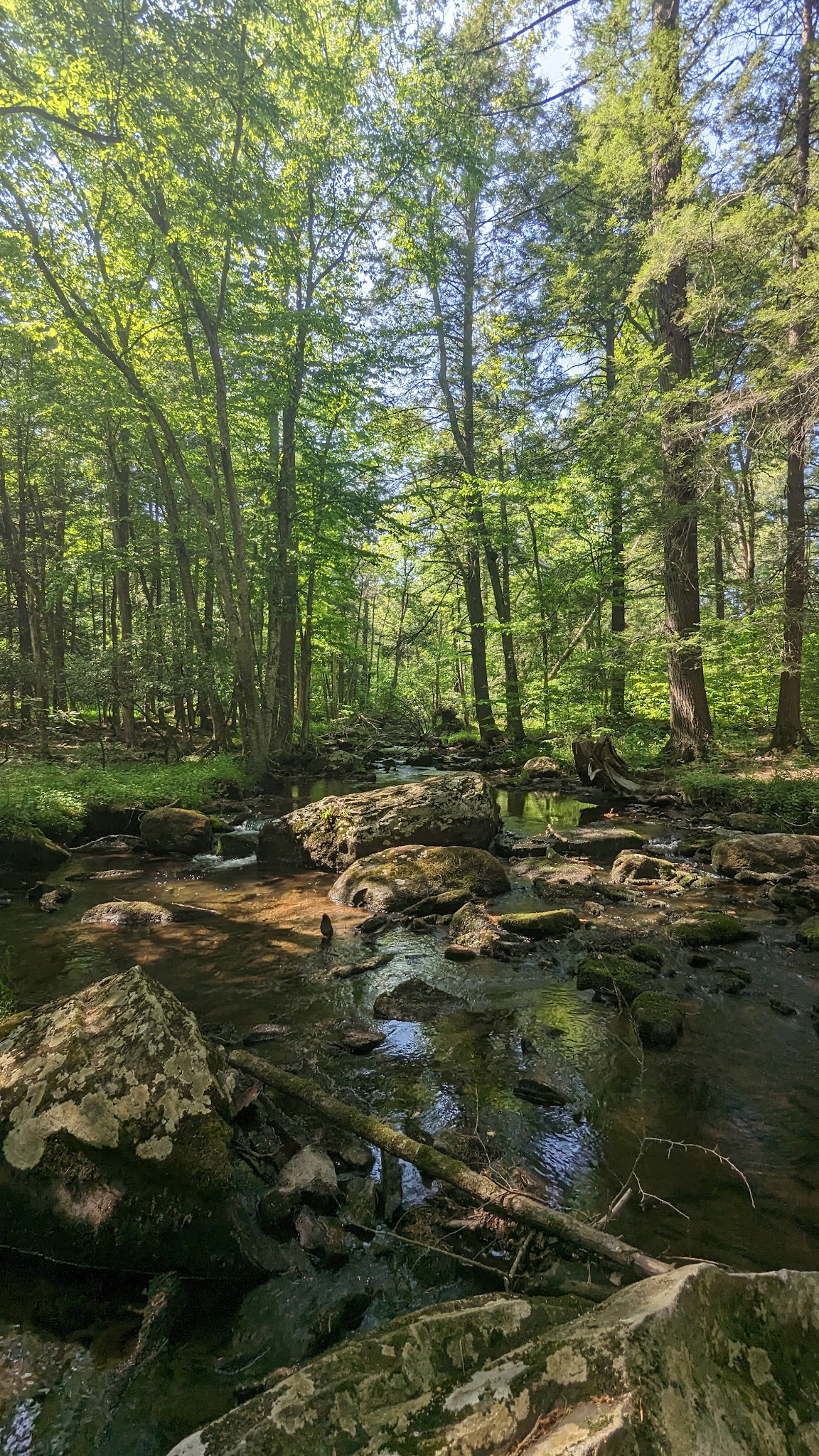 Van Buskirk Farm Preserve - Paradise Valley, PA