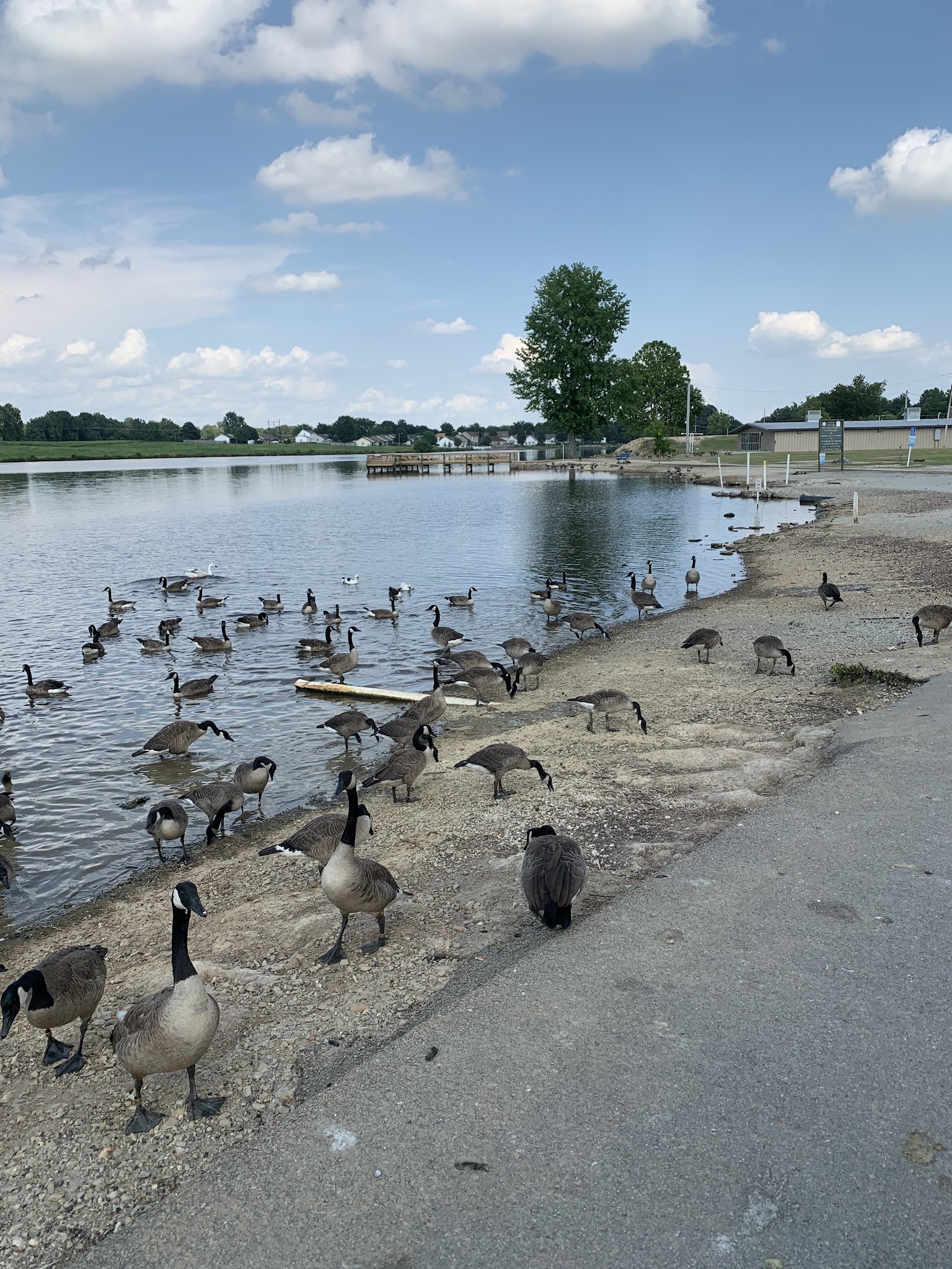 Reynolds Park - Paragould, AR