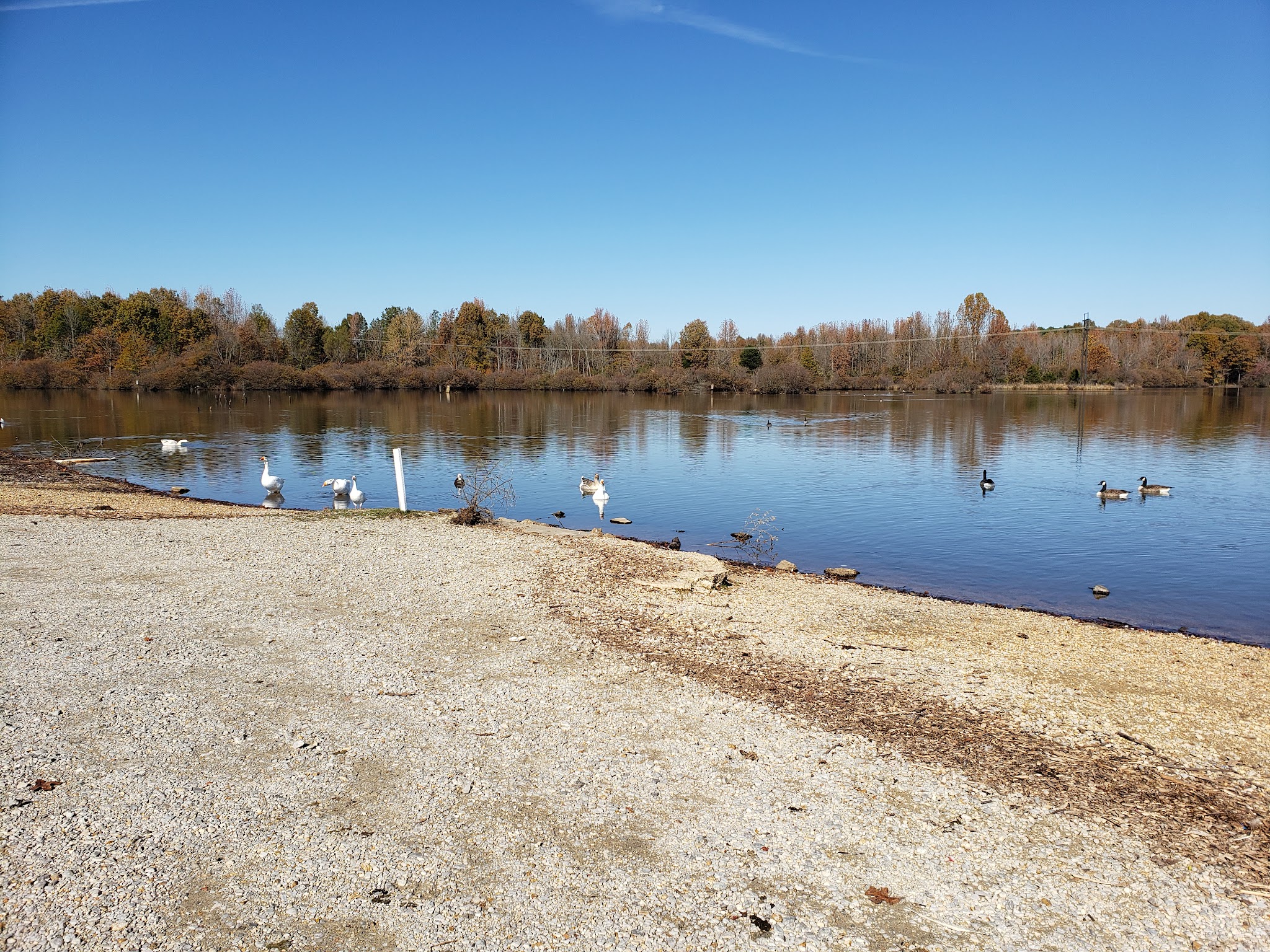 Reynolds Park - Paragould, AR