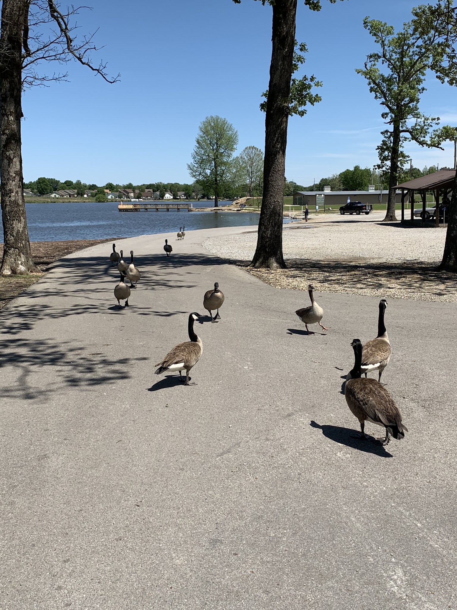 Reynolds Park - Paragould, AR